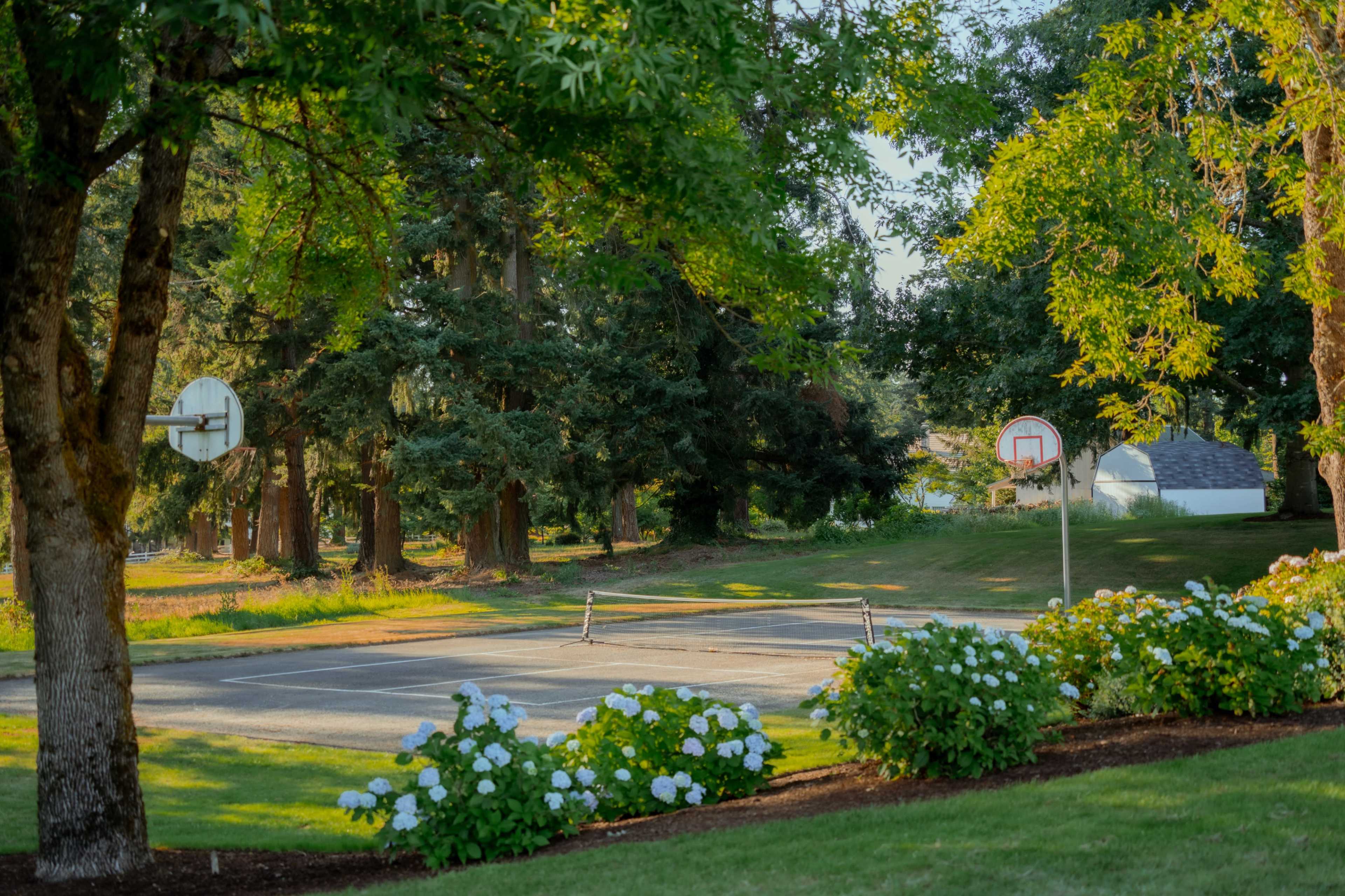 A basketball court surrounded by trees and blooming flowers in a park setting.