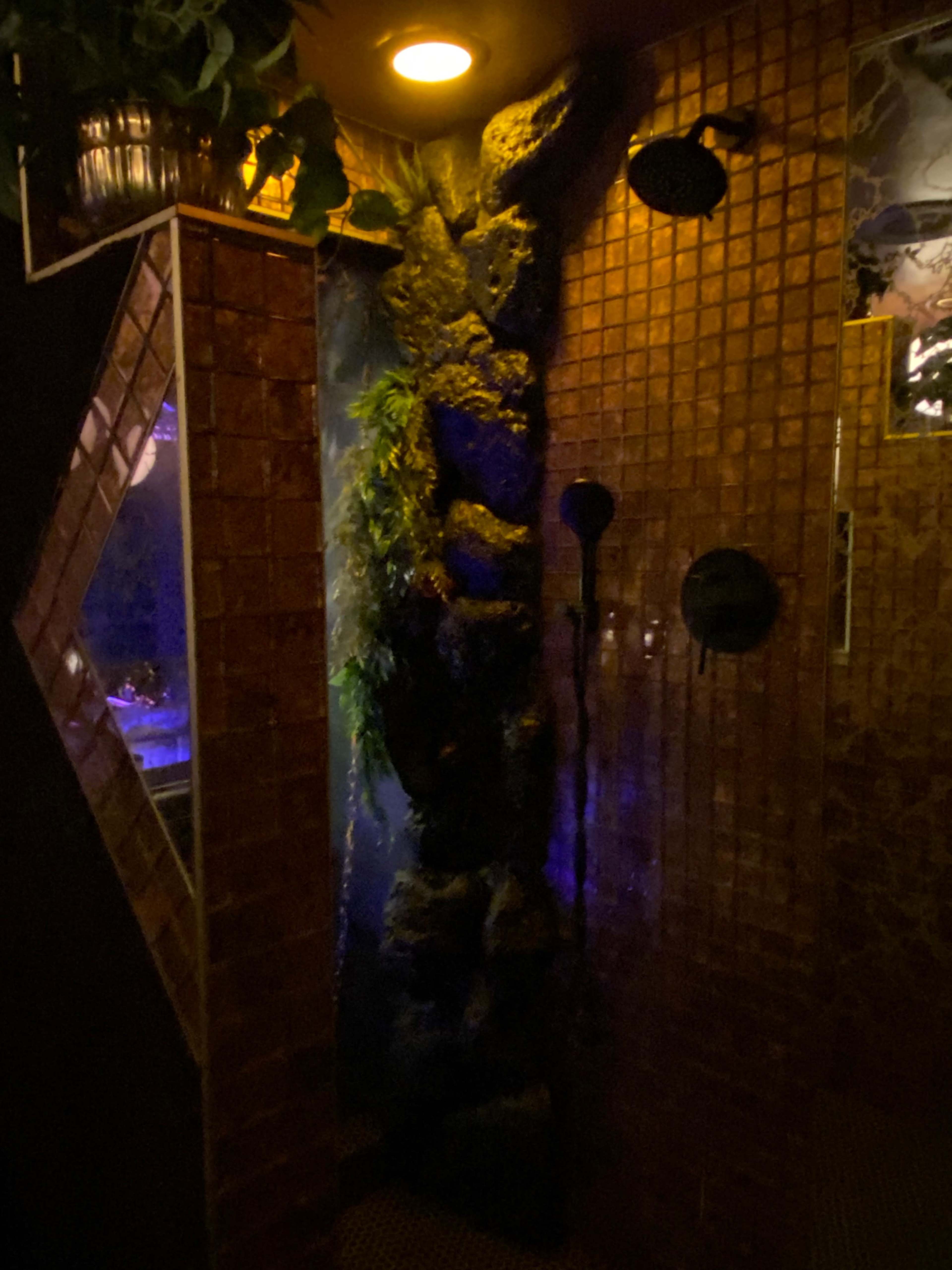 The image shows a shower area featuring a rock-like wall with water cascading down, surrounded by tiled walls and dim lighting.