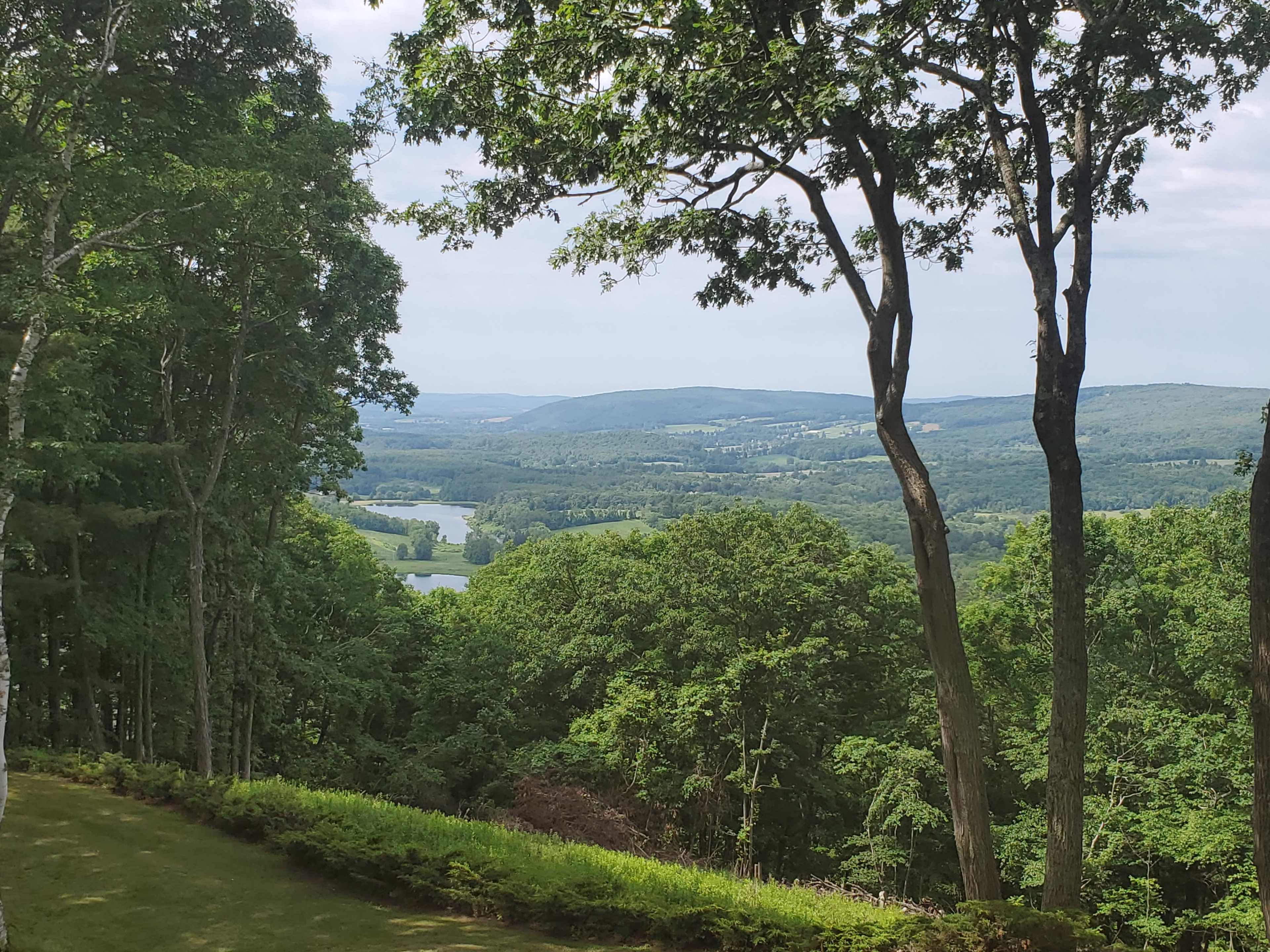 A lush green hillside slopes down toward a river winding through a valley, framed by trees.
