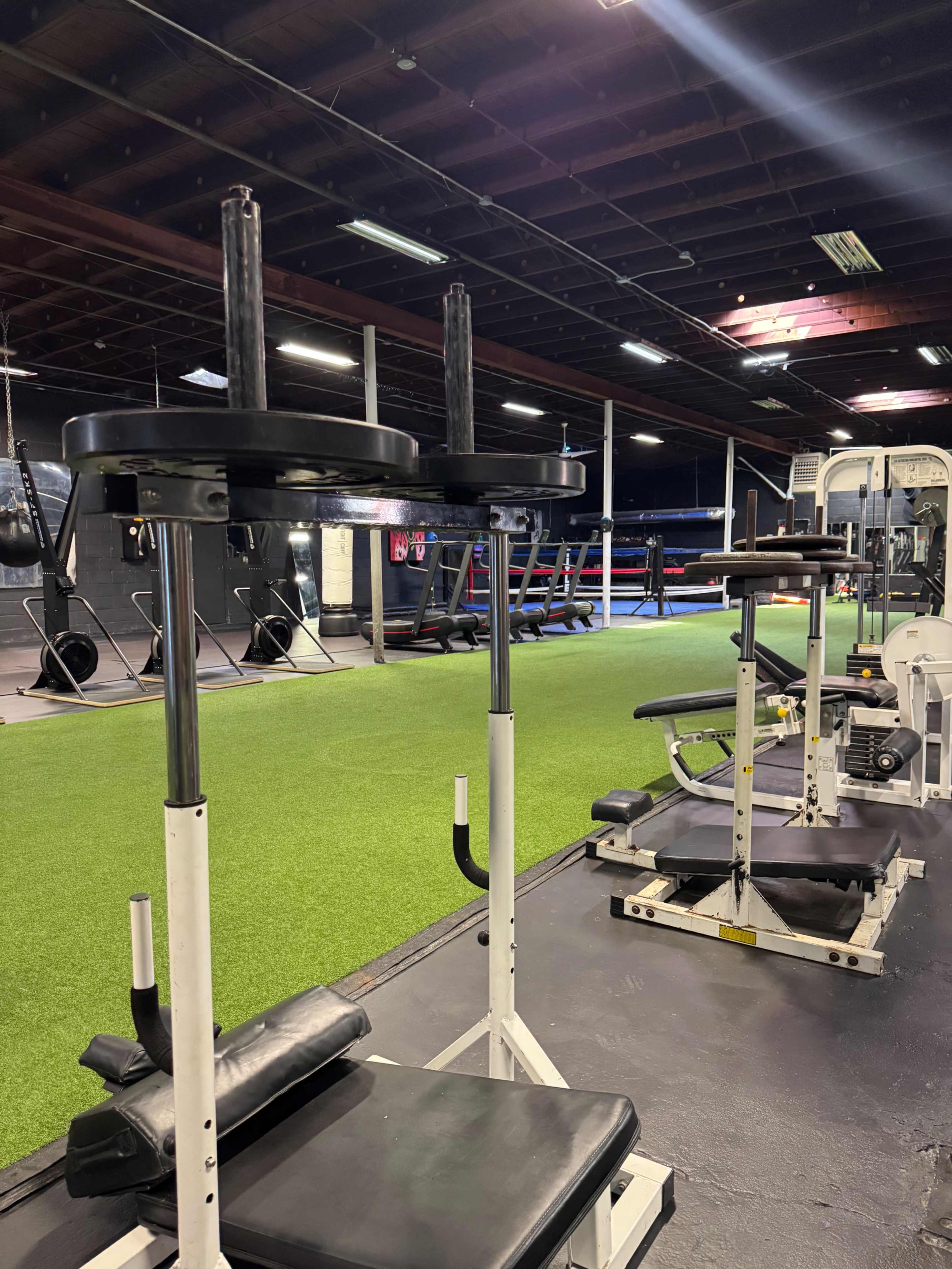 The image shows a gym interior with various workout equipment, including squat racks and weight machines, set on a turf-covered floor.
