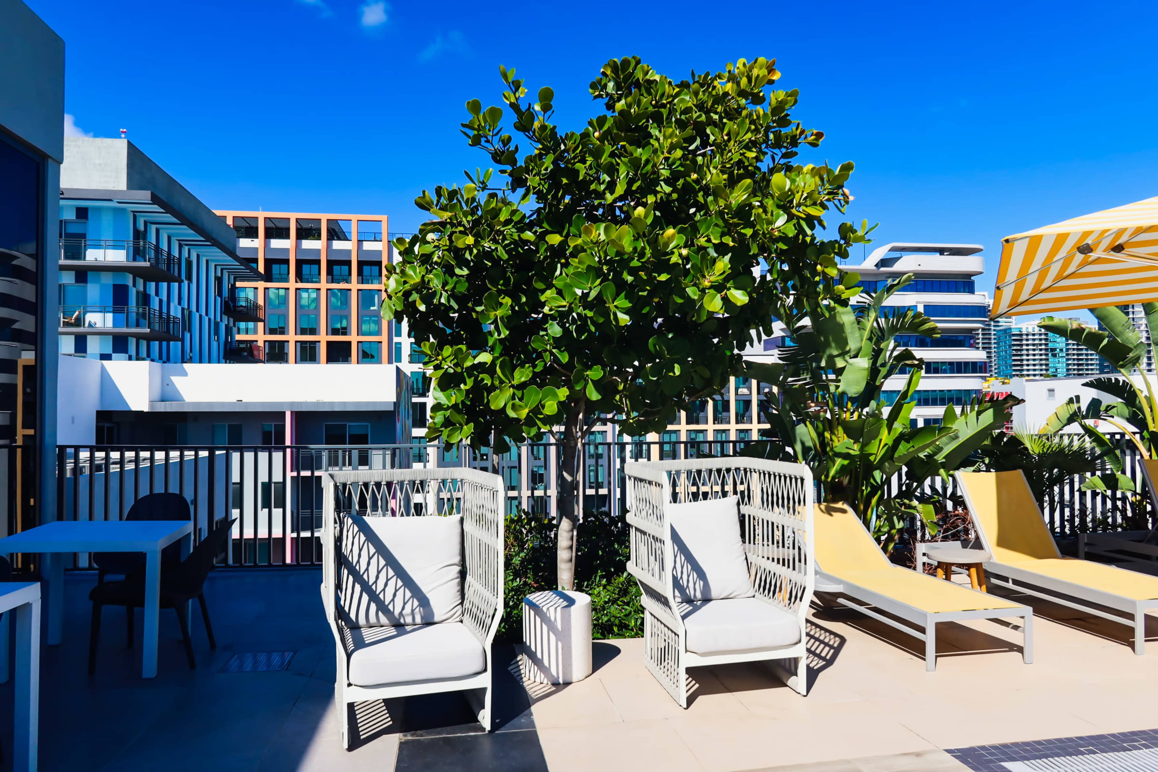 The image shows a rooftop area with two white lounge chairs, a tree, and a view of modern buildings under a clear blue sky.