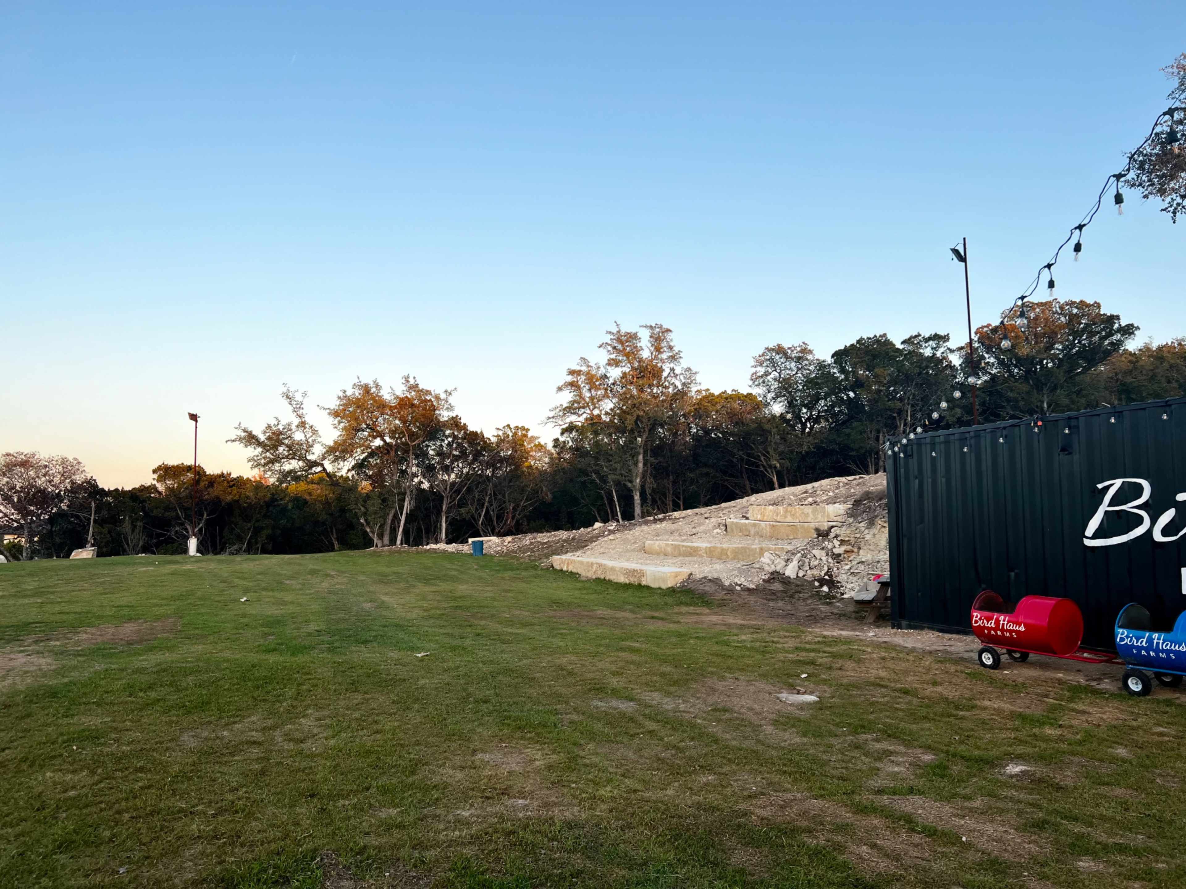 A grassy area with a cleared space featuring stone steps and a black storage container on the right side.