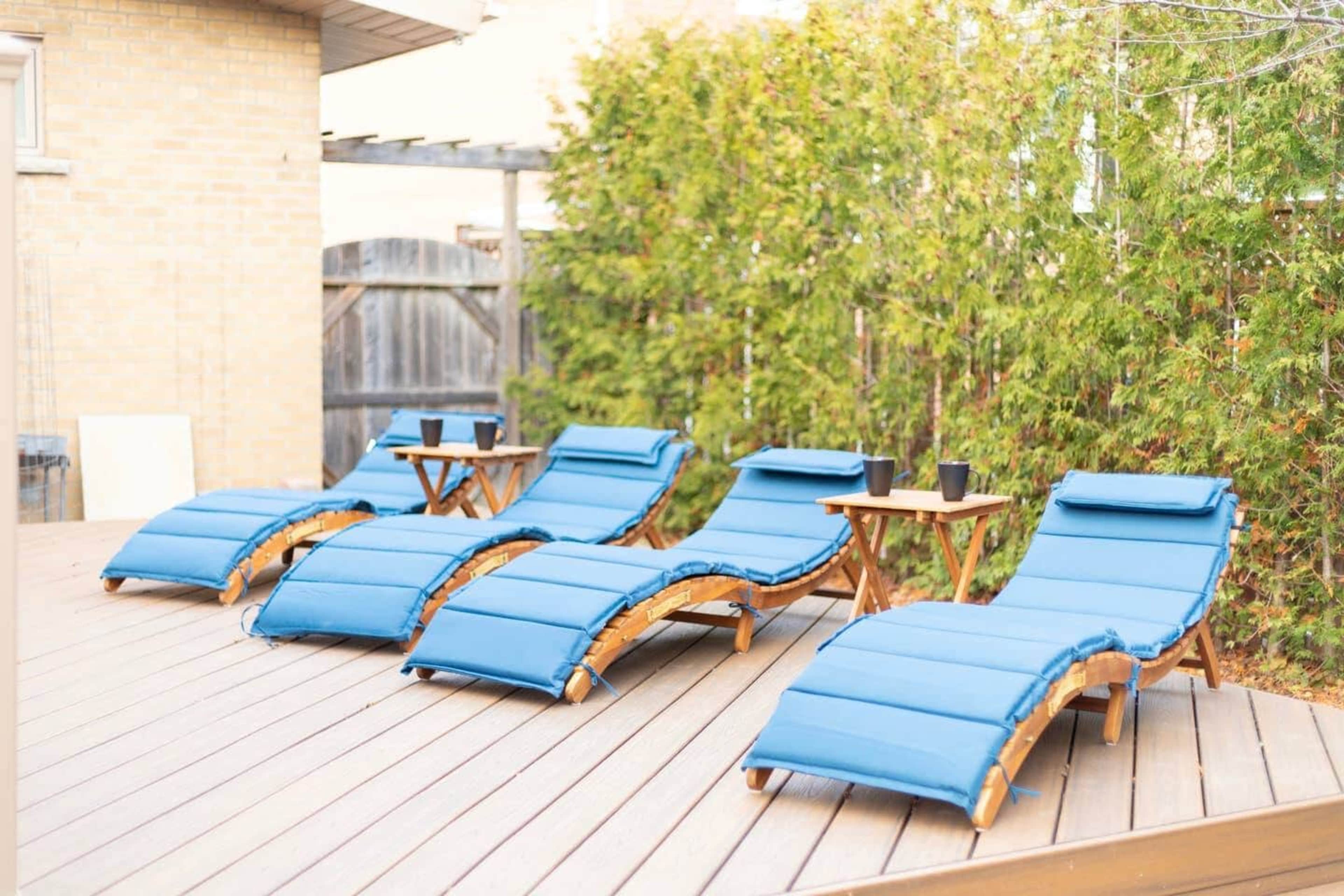 A row of four blue lounge chairs is positioned on a wooden deck in front of a green hedge.