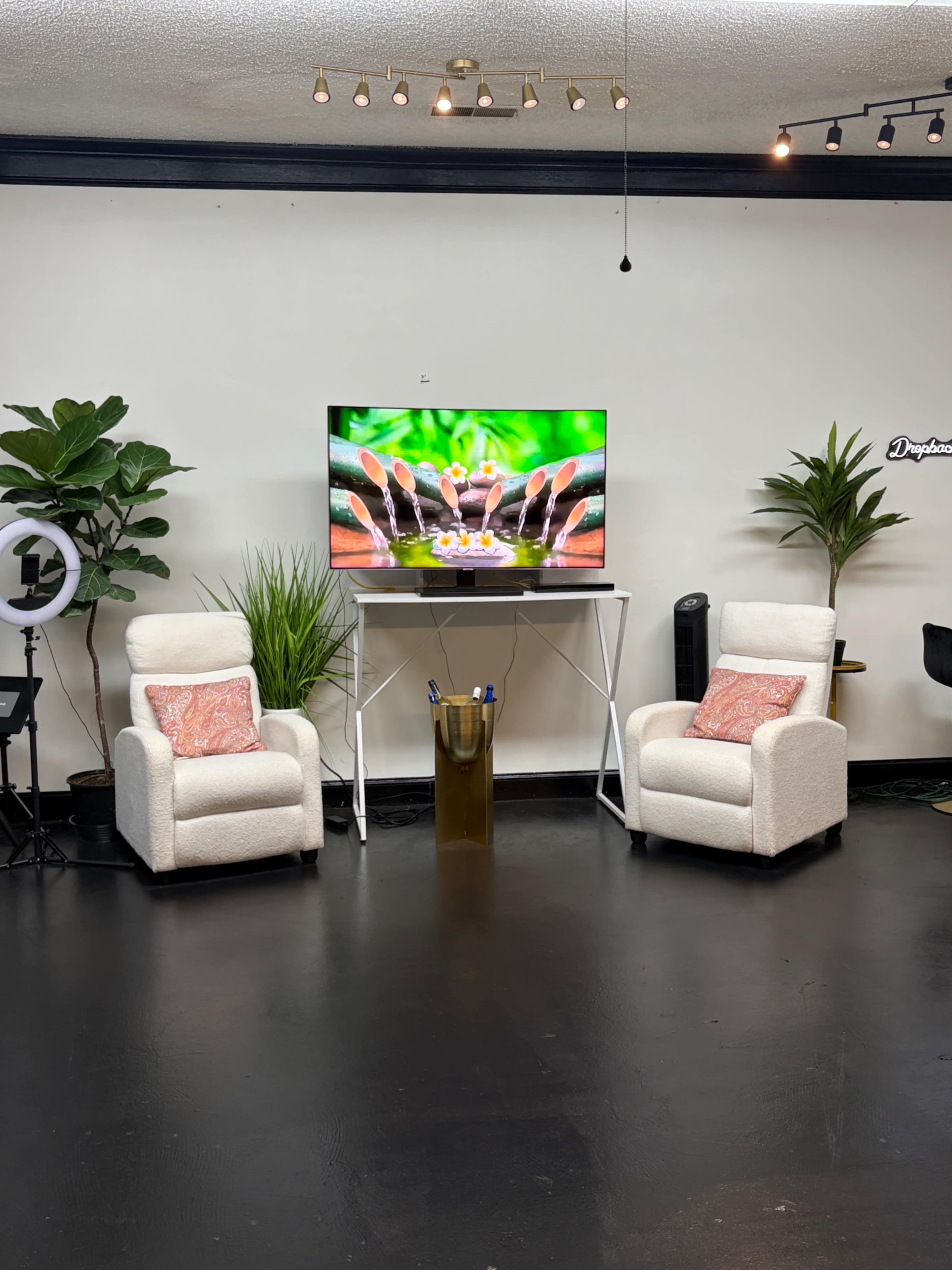 The scene features two recliner chairs facing a television displaying a colorful image, with plants and a small table holding a decorative container in the center.