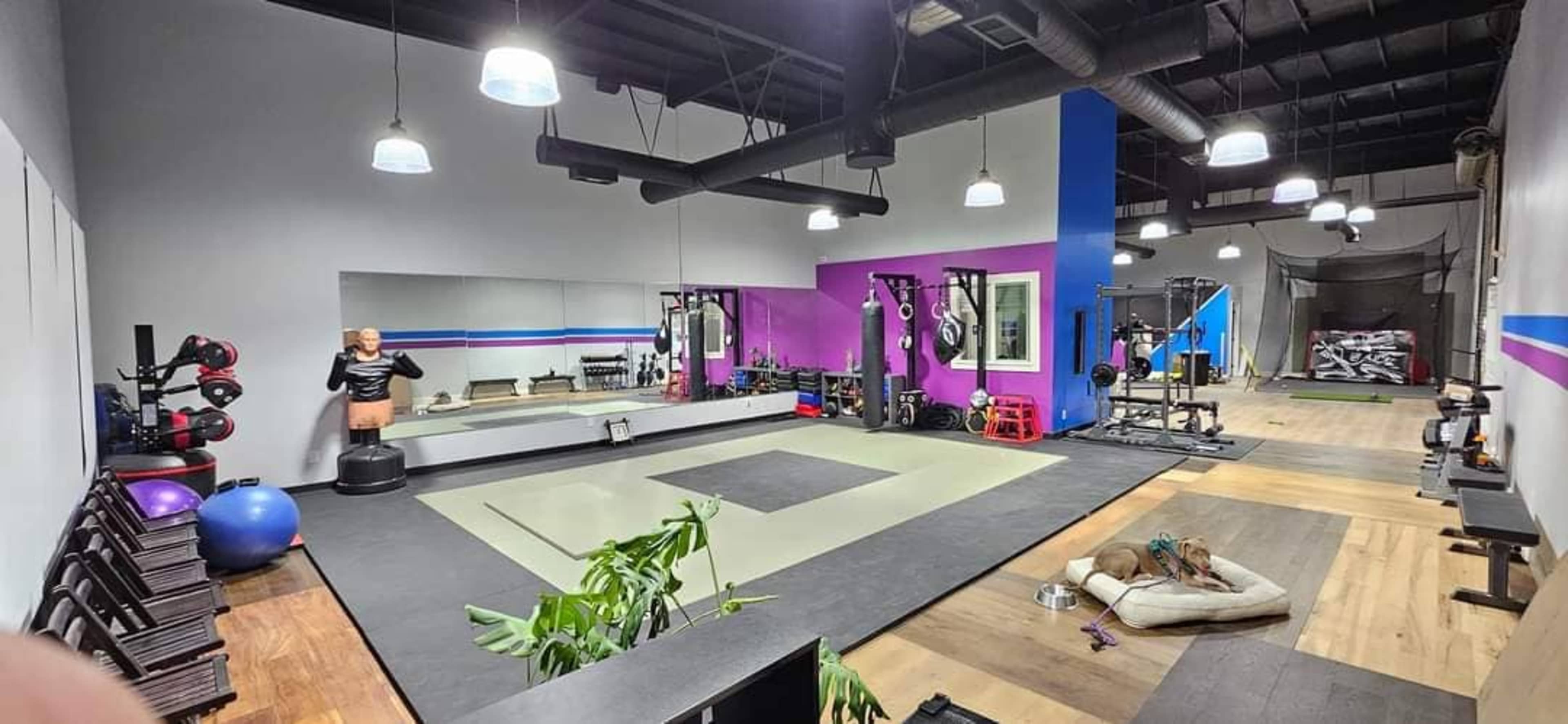The gym contains exercise equipment, mats, and a large mirror, with areas designated for various workout activities and a few plants positioned within the space.