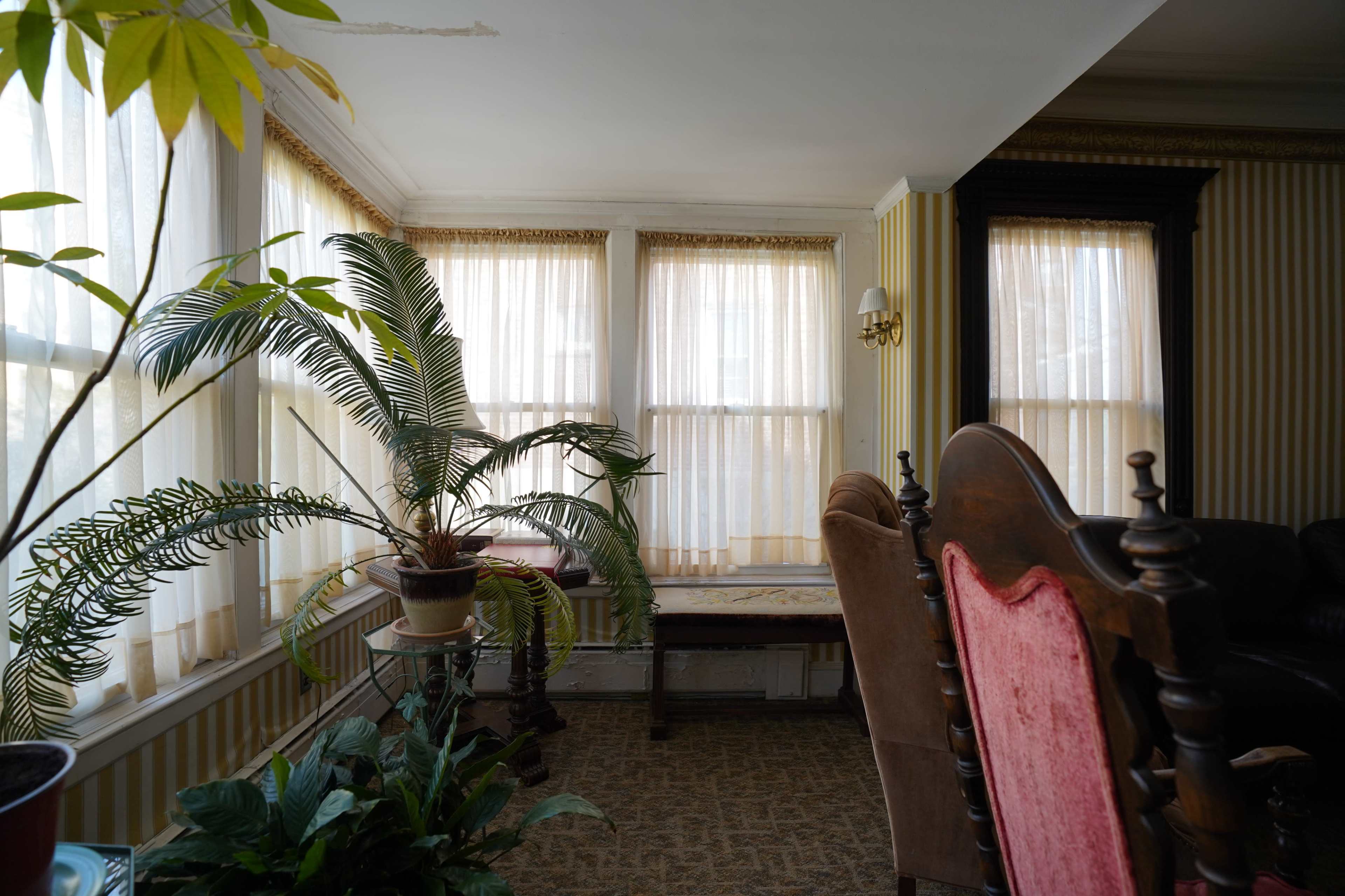 The image shows a sunlit room with large windows draped in sheer curtains, featuring a potted plant, a wooden bench, and upholstered chairs.