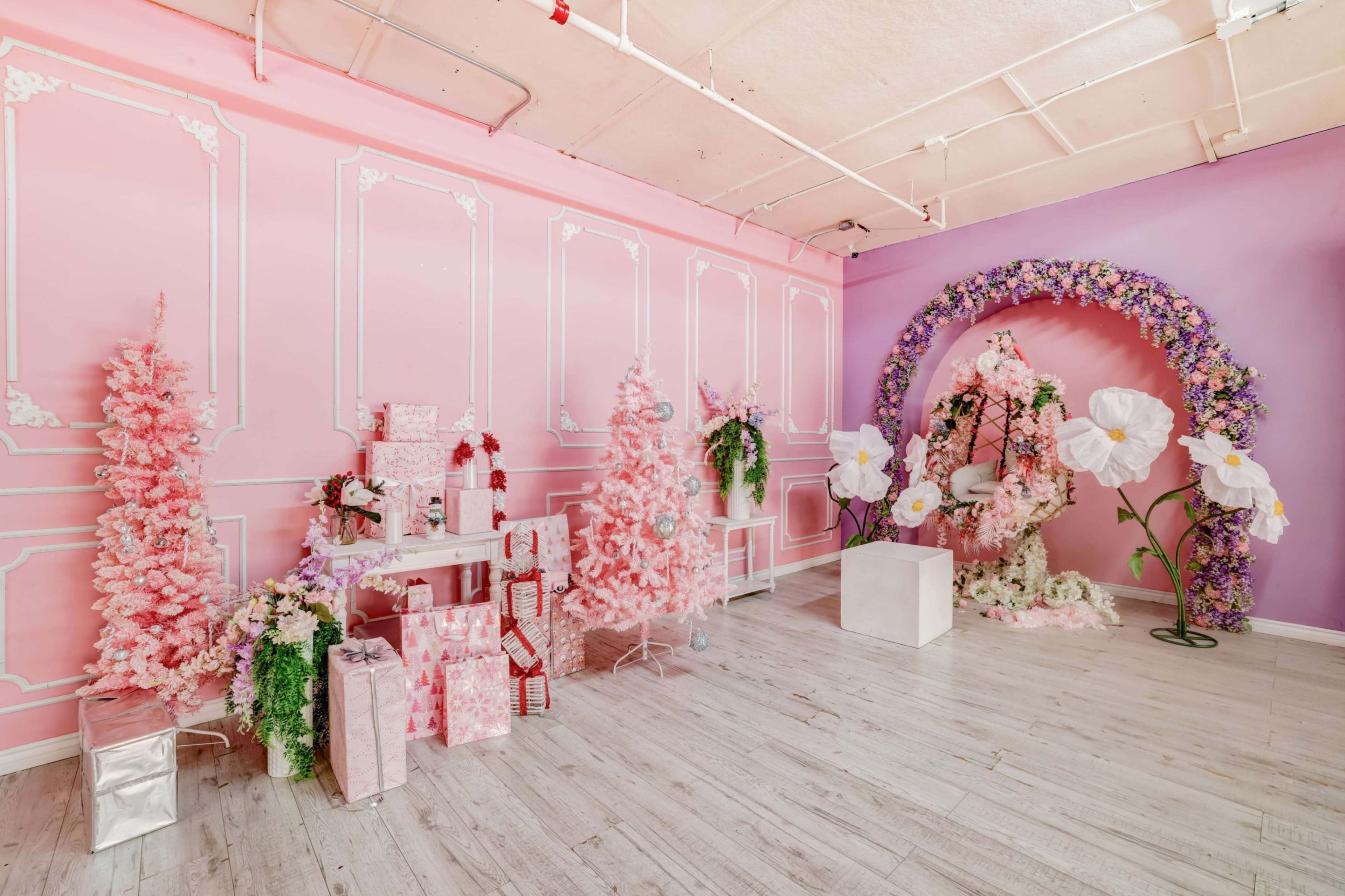 Barbie themed pink photo studio with soft light & hardwood floors, Christmas Tree, decorated piano and a pink telephone booth - Astoria 3 Image in Astoria, Astoria, NY