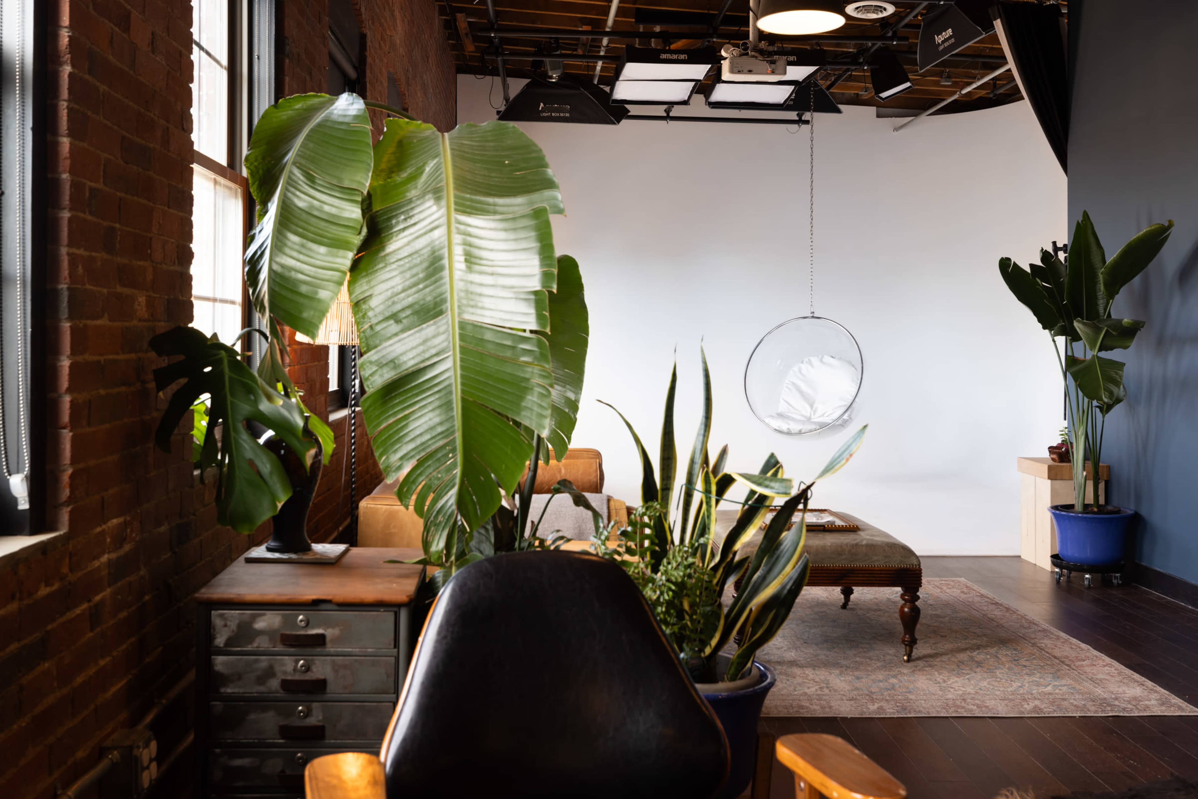 The image shows a modern interior space with exposed brick walls, a variety of indoor plants, and a hanging chair in front of a neutral backdrop.