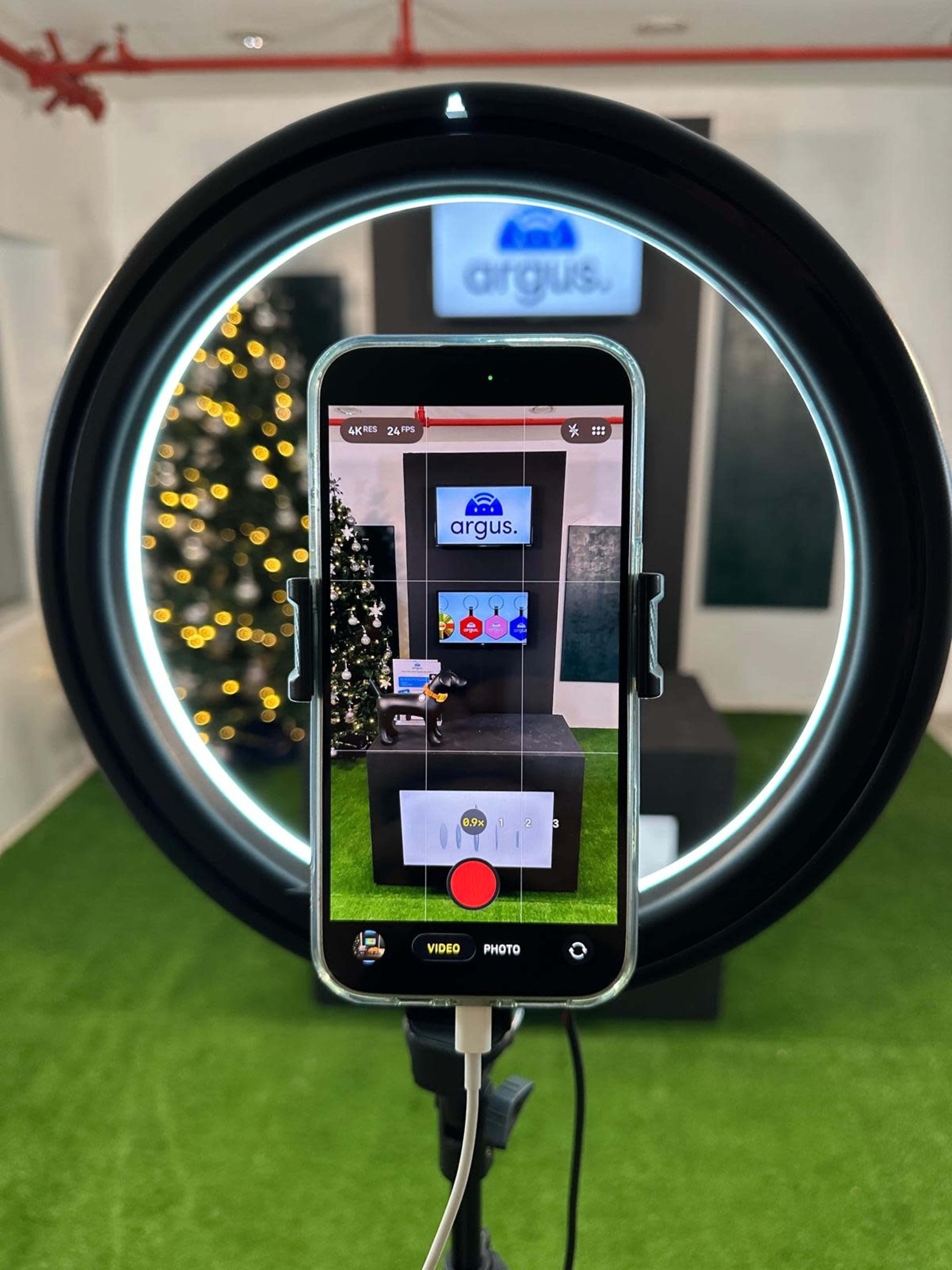 A smartphone is mounted on a ring light, displaying a video recording interface of a presentation setup with a Christmas tree in the background.