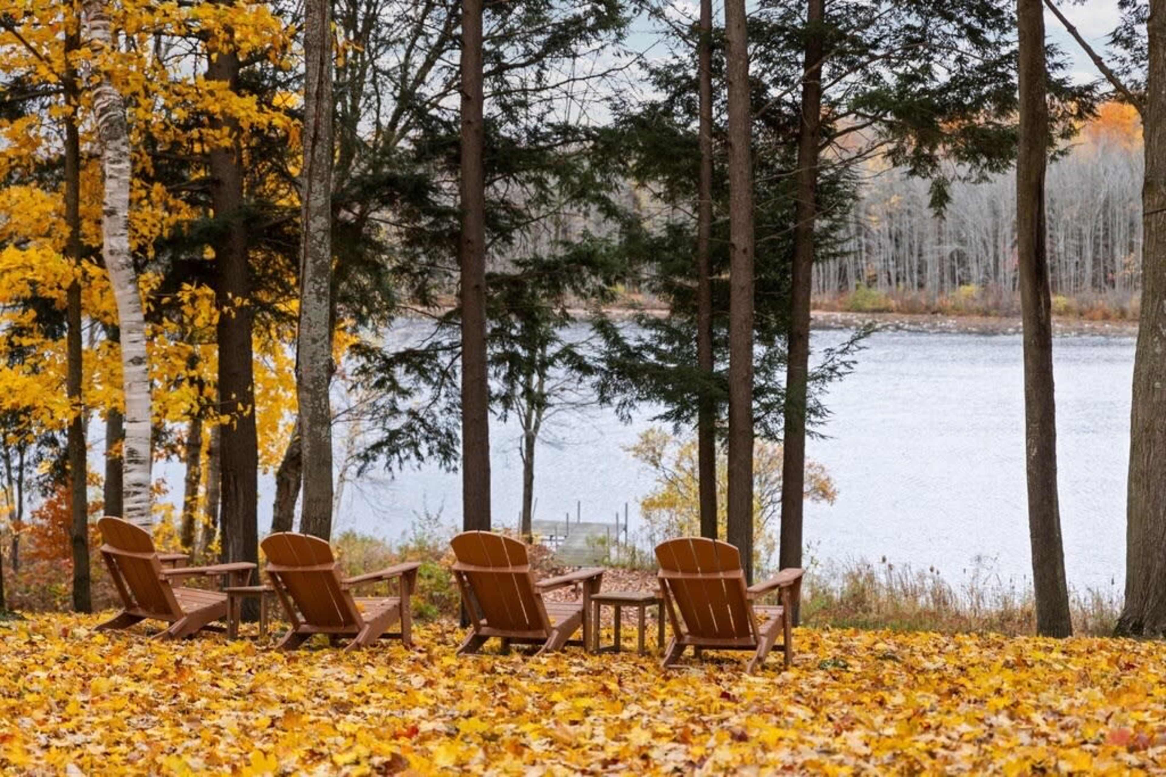 Four wooden chairs are arranged in a row on a carpet of fallen leaves overlooking a calm lake surrounded by trees in autumn.