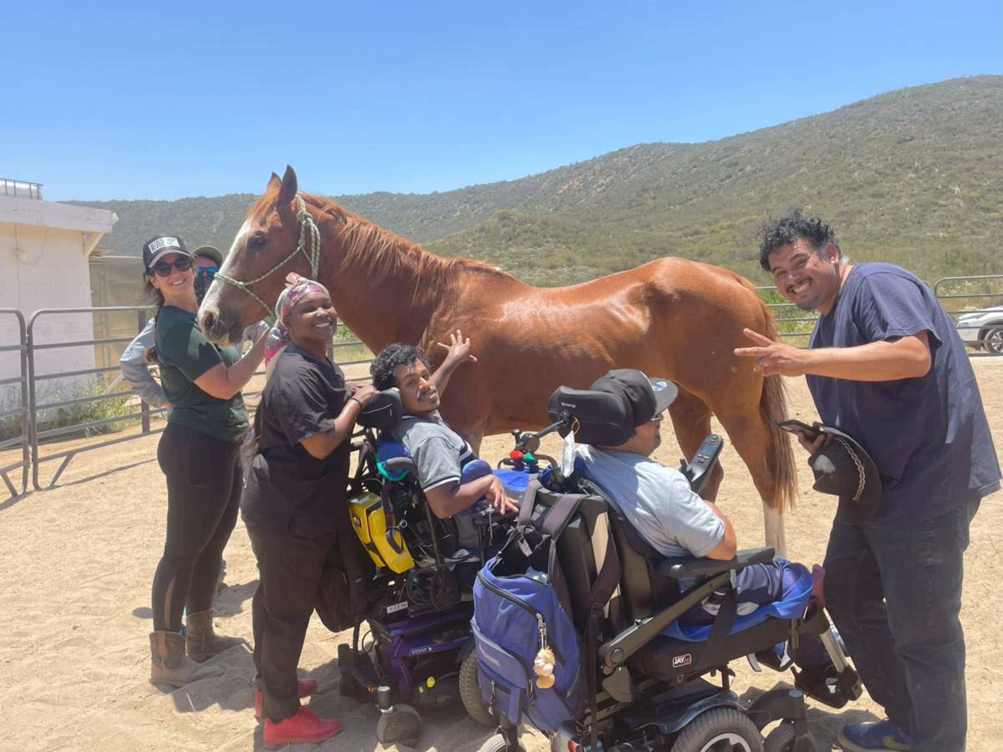 A group of four individuals in wheelchairs is interacting with a brown horse in an outdoor setting, surrounded by hills and clear blue skies.