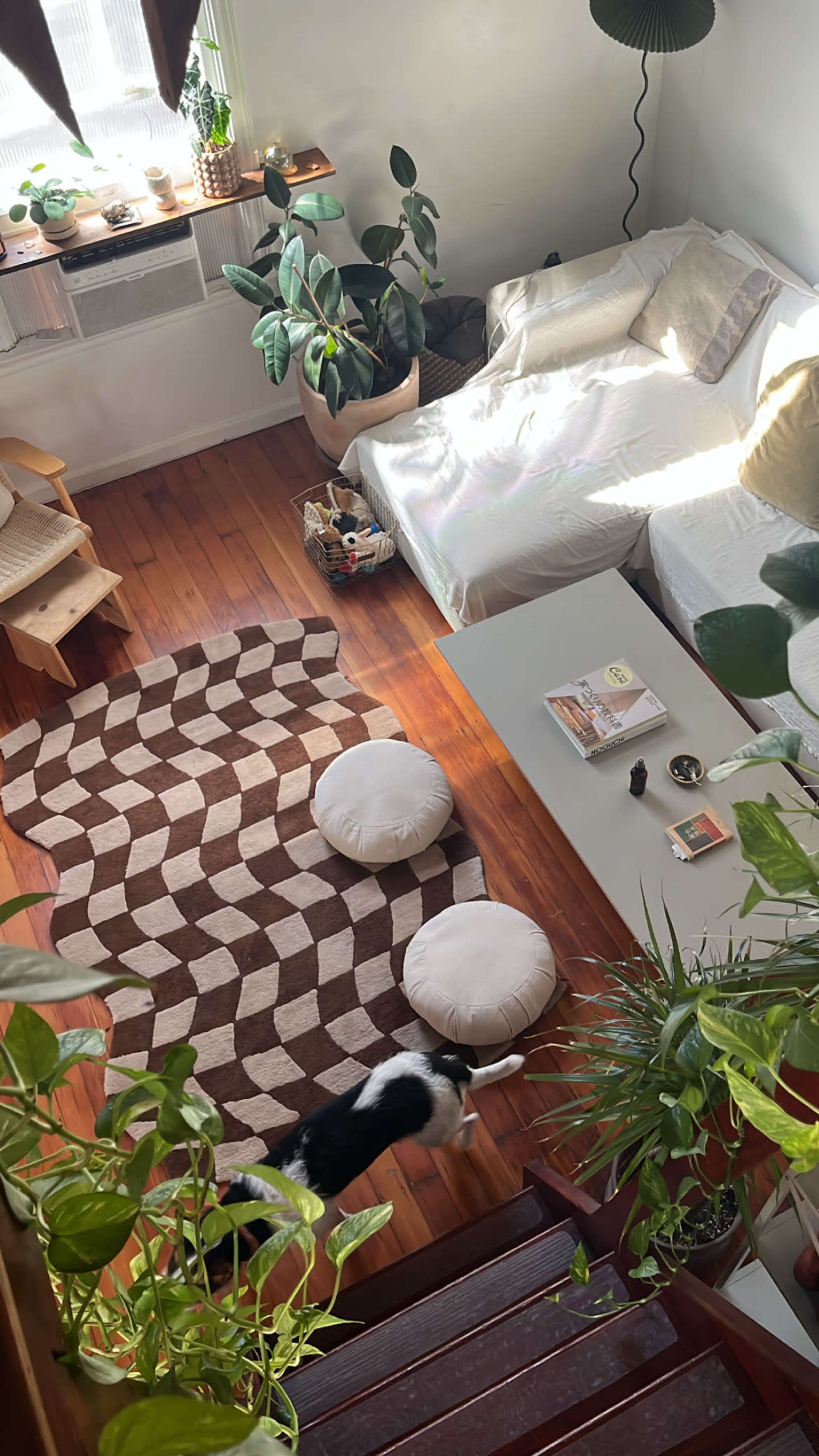 A cozy living space with a bed, a coffee table, two round cushions, and several plants arranged throughout the room.