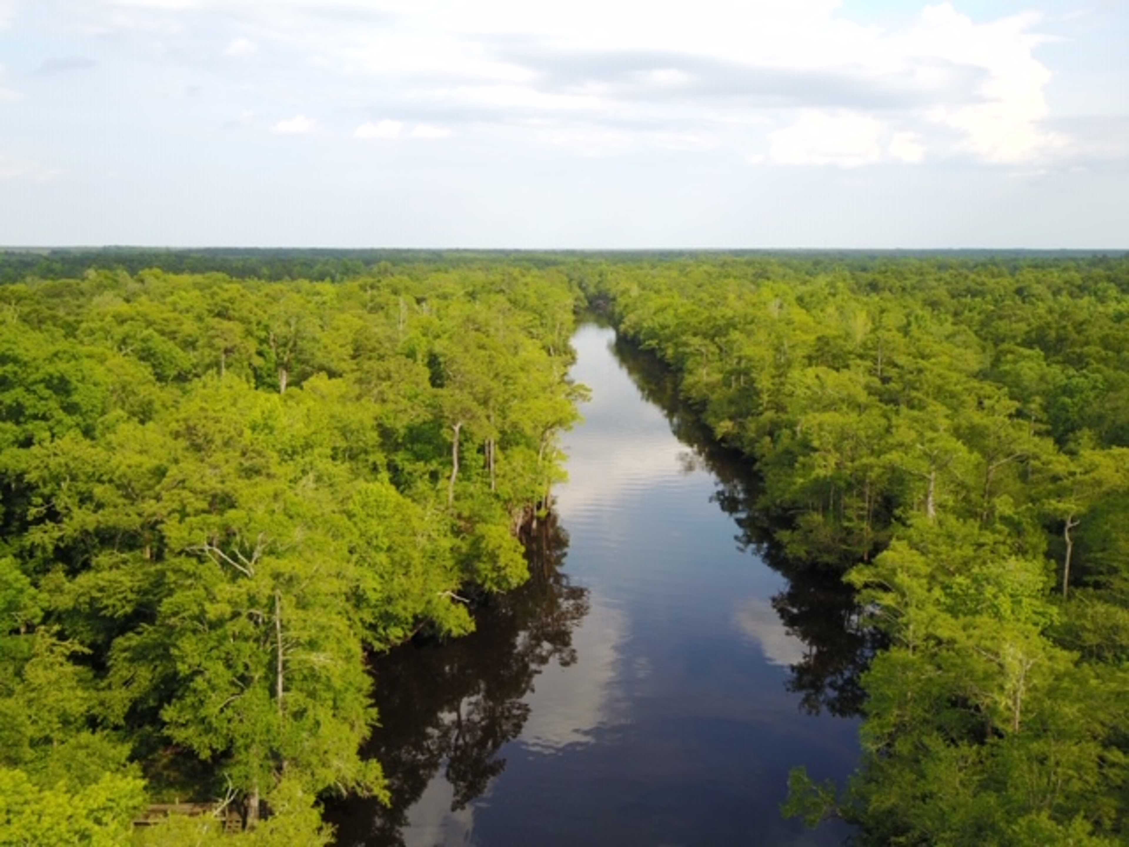 A narrow river flows through a dense green forest under a partly cloudy sky.