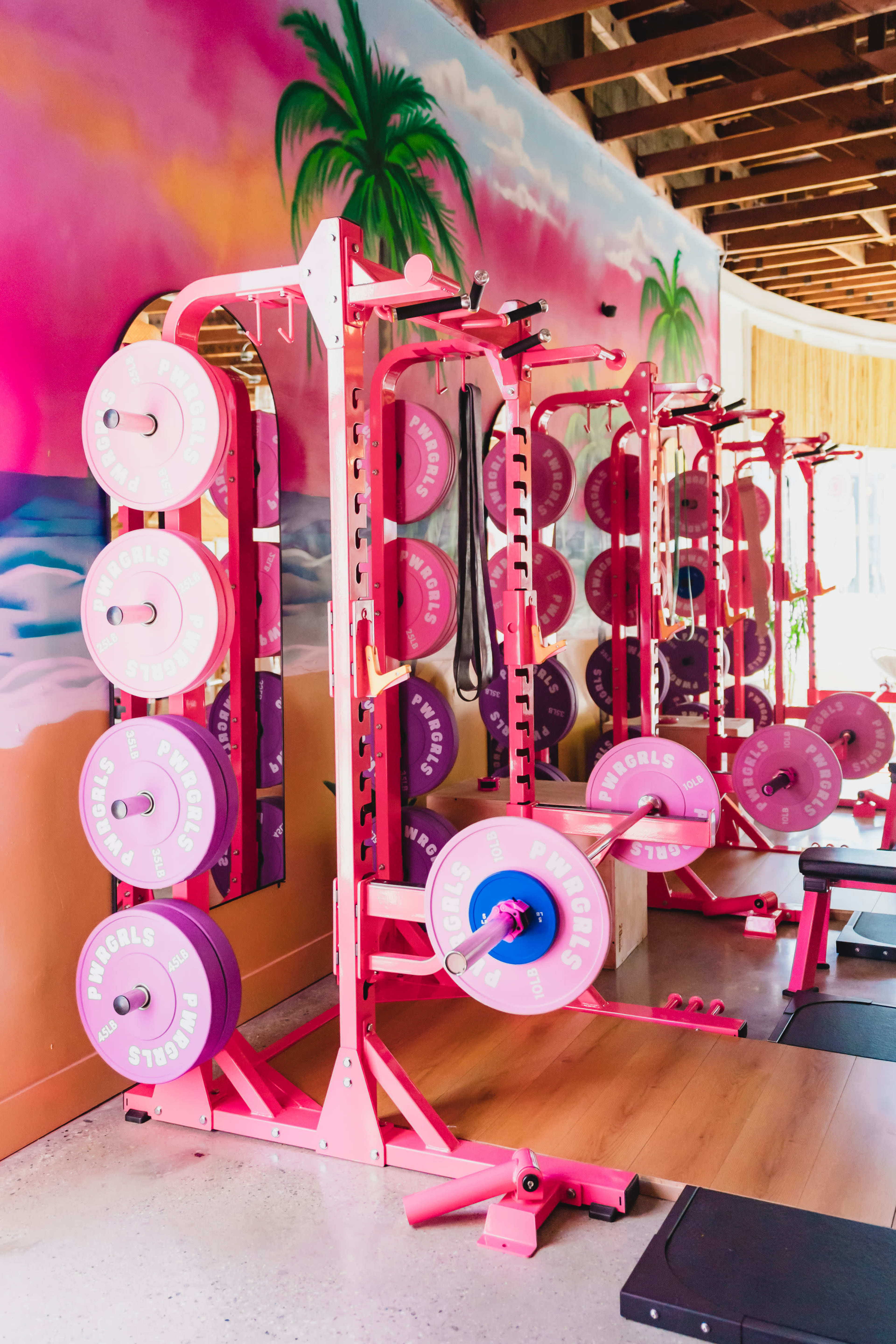 PWRGRLS Pink Gym – Beach Vibes, Strength, & Bold Feminine Energy Image in Sherman Oaks, Sherman Oaks, CA