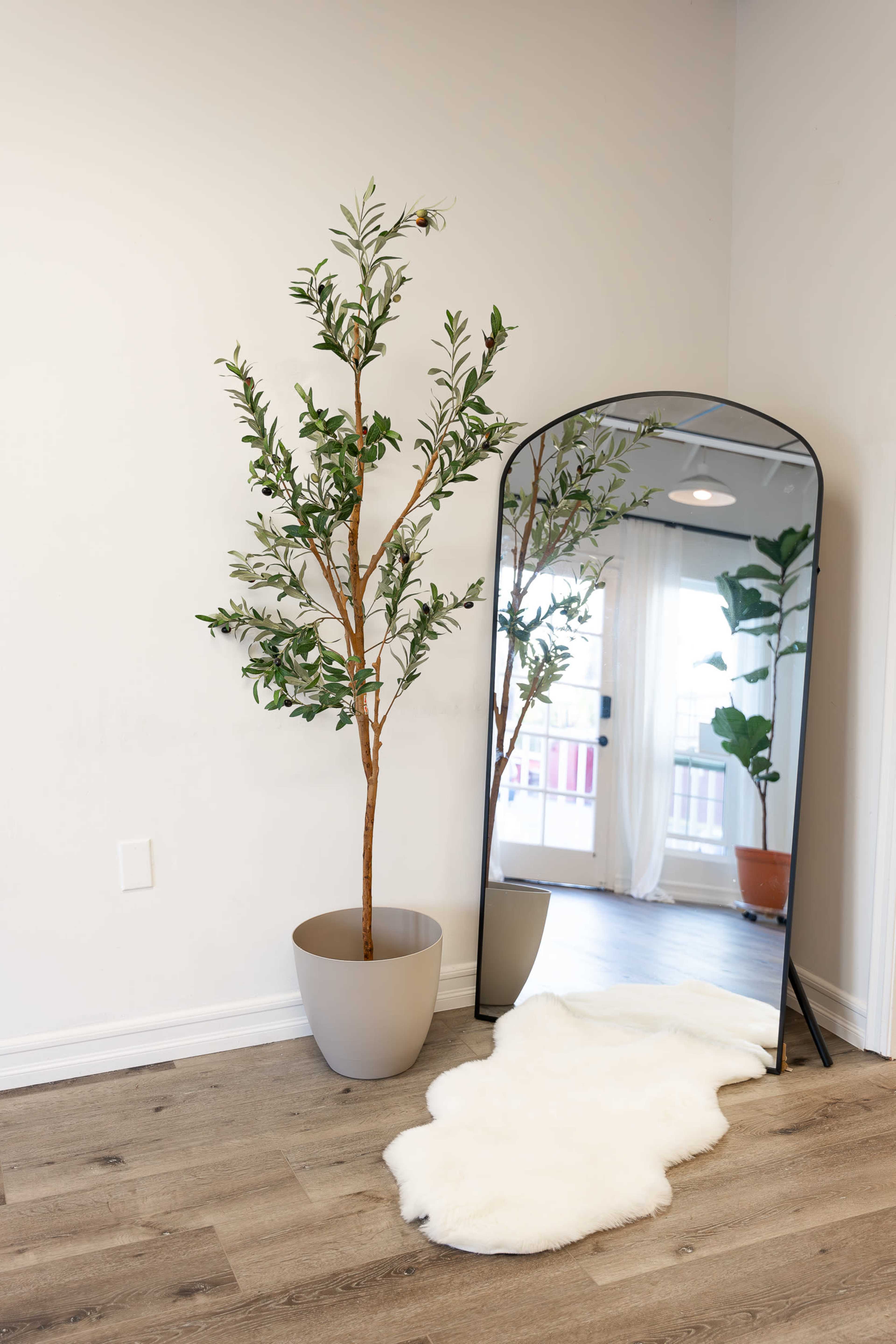 A tall artificial plant in a gray pot stands beside a curved mirror placed on a light-colored floor mat in a bright room with large windows.