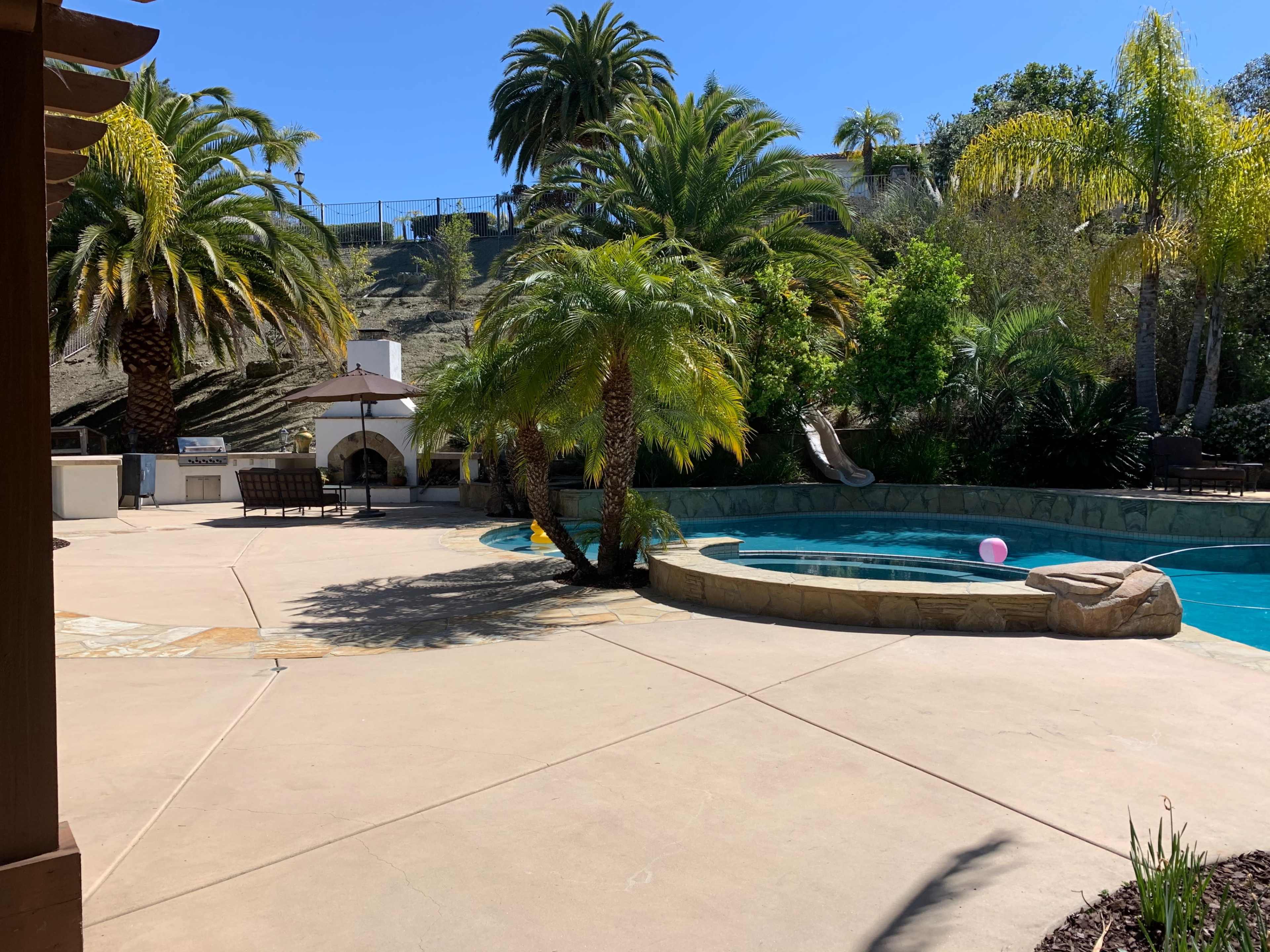 The scene features a swimming pool surrounded by palm trees and a slide, with a concrete patio and a pink beach ball floating in the water.