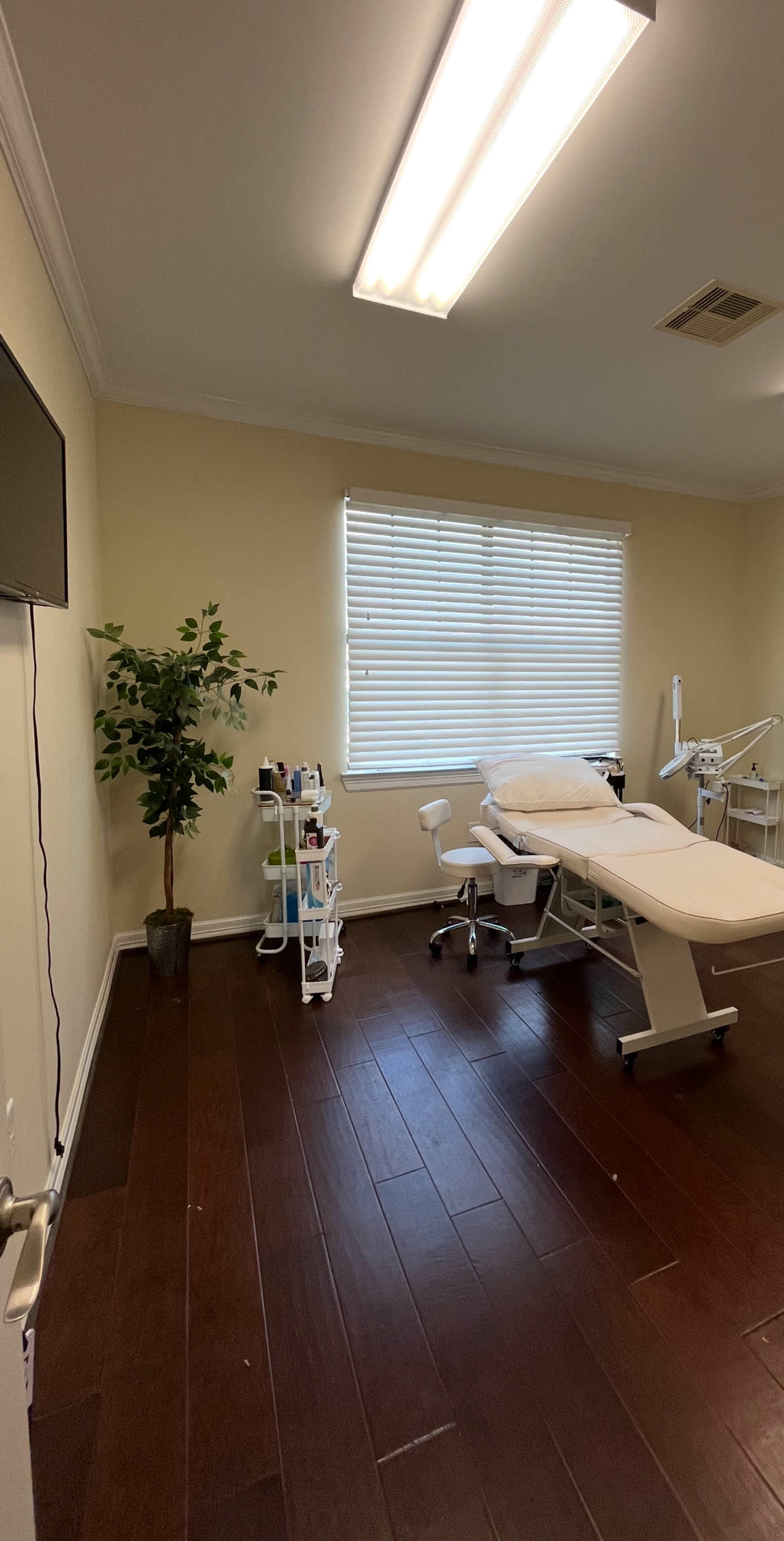 The image shows a clean, well-lit medical treatment room with a bed, a rolling cart for supplies, and a potted plant near a window with blinds.