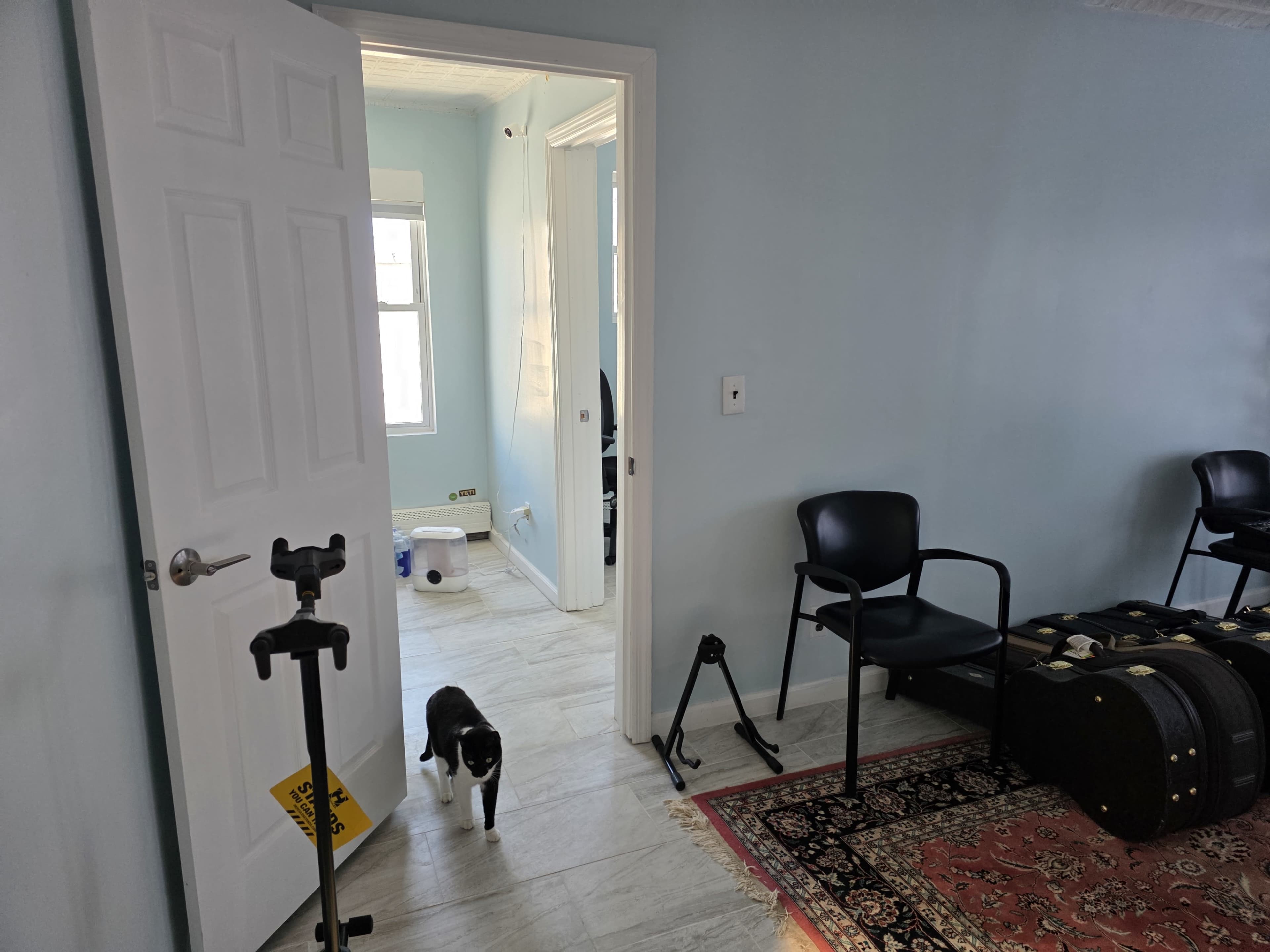 A black and white cat walks through an open doorway in a light blue room with chairs and musical instrument cases.