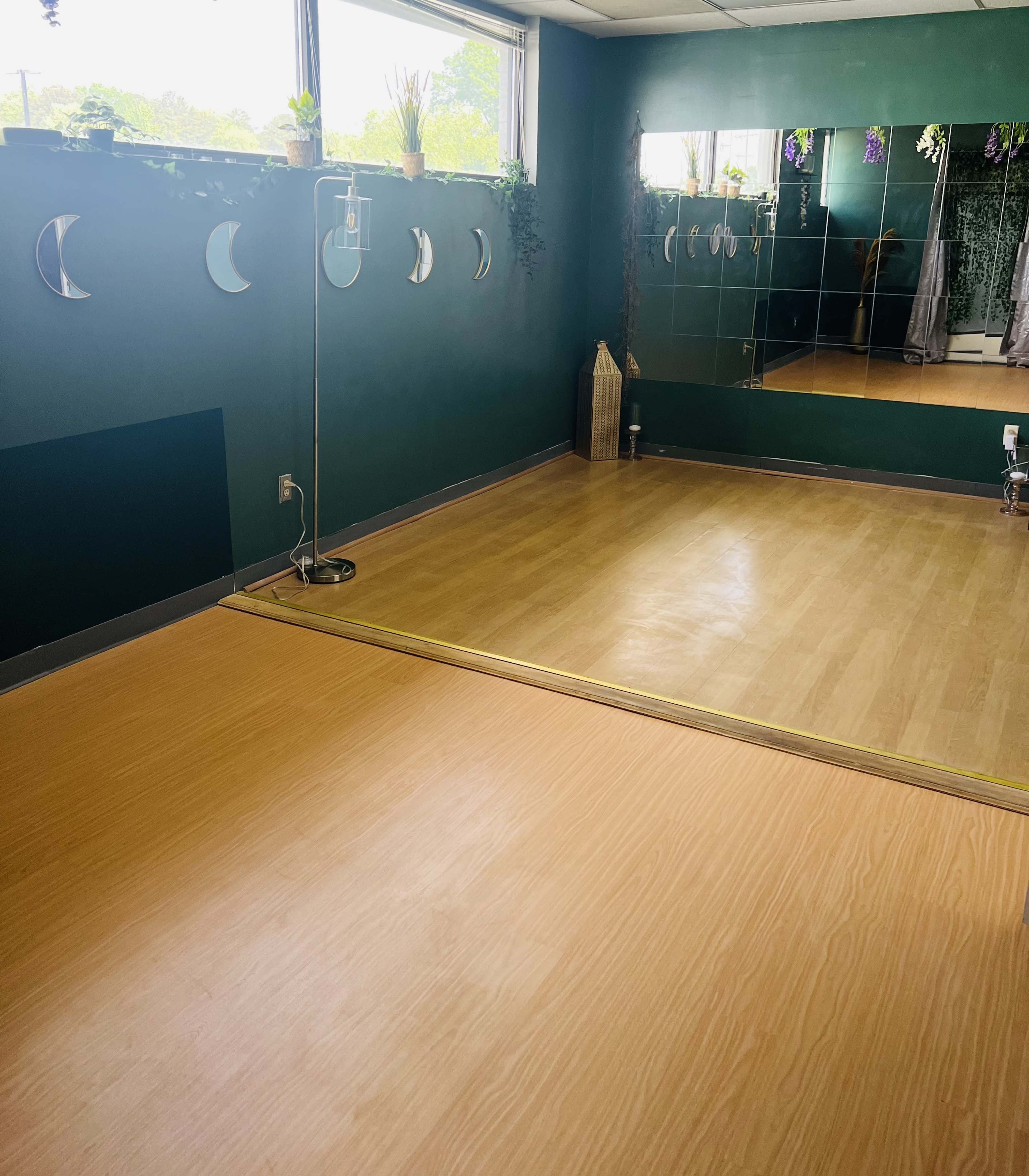 The image shows a spacious room with mirrored walls, wooden flooring, and decorative plants near the windows.