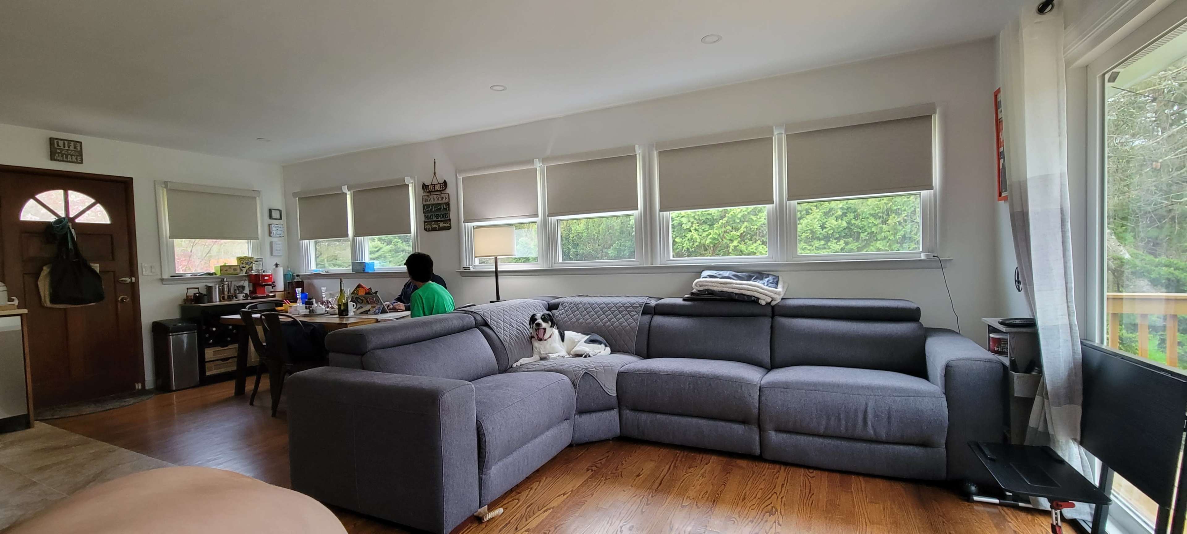 A person sits at a table working while a dog lounges on a gray sectional sofa in a well-lit living room.