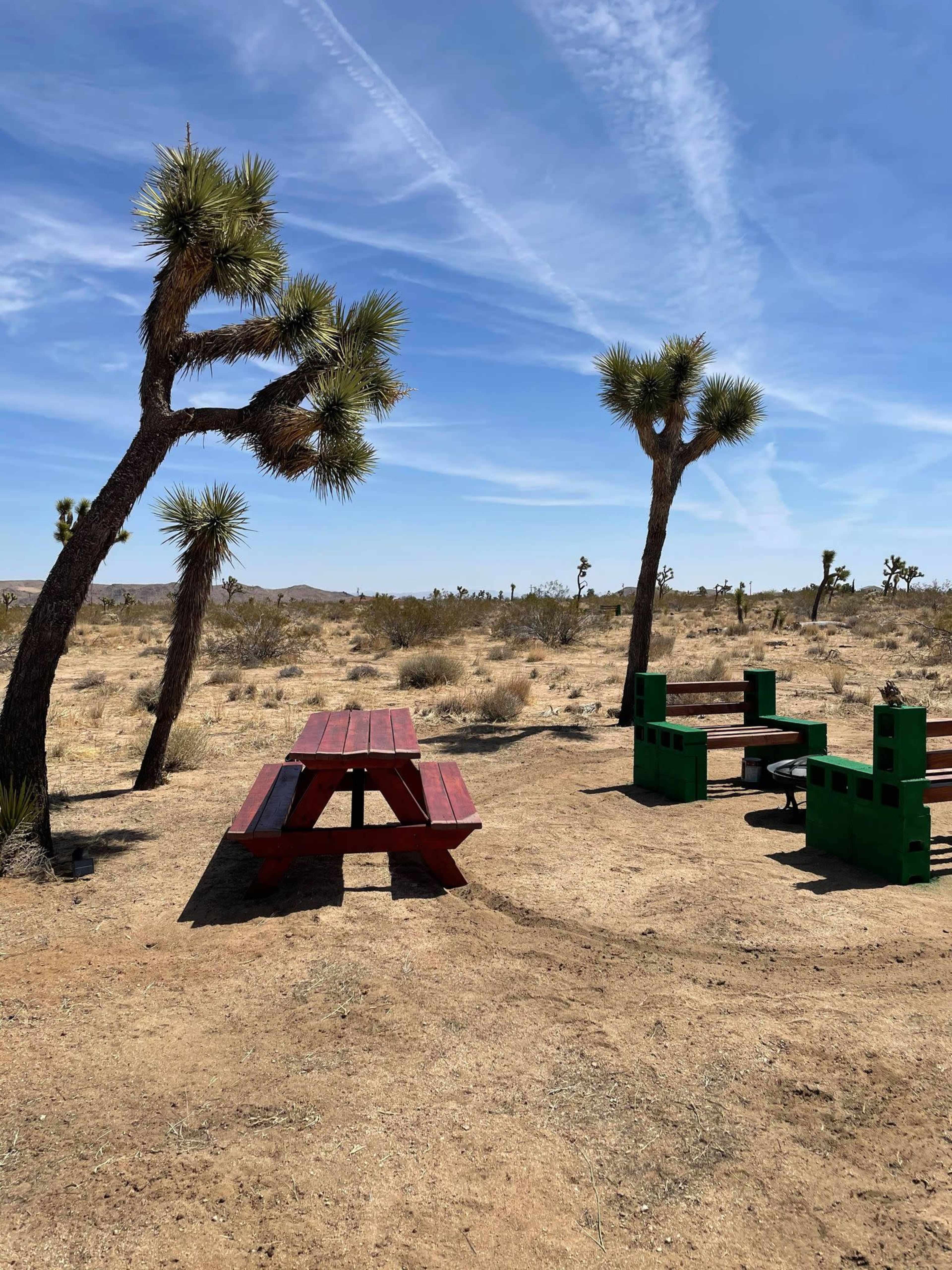 A picnic area with a red table and green benches surrounded by Joshua trees in a desert landscape.