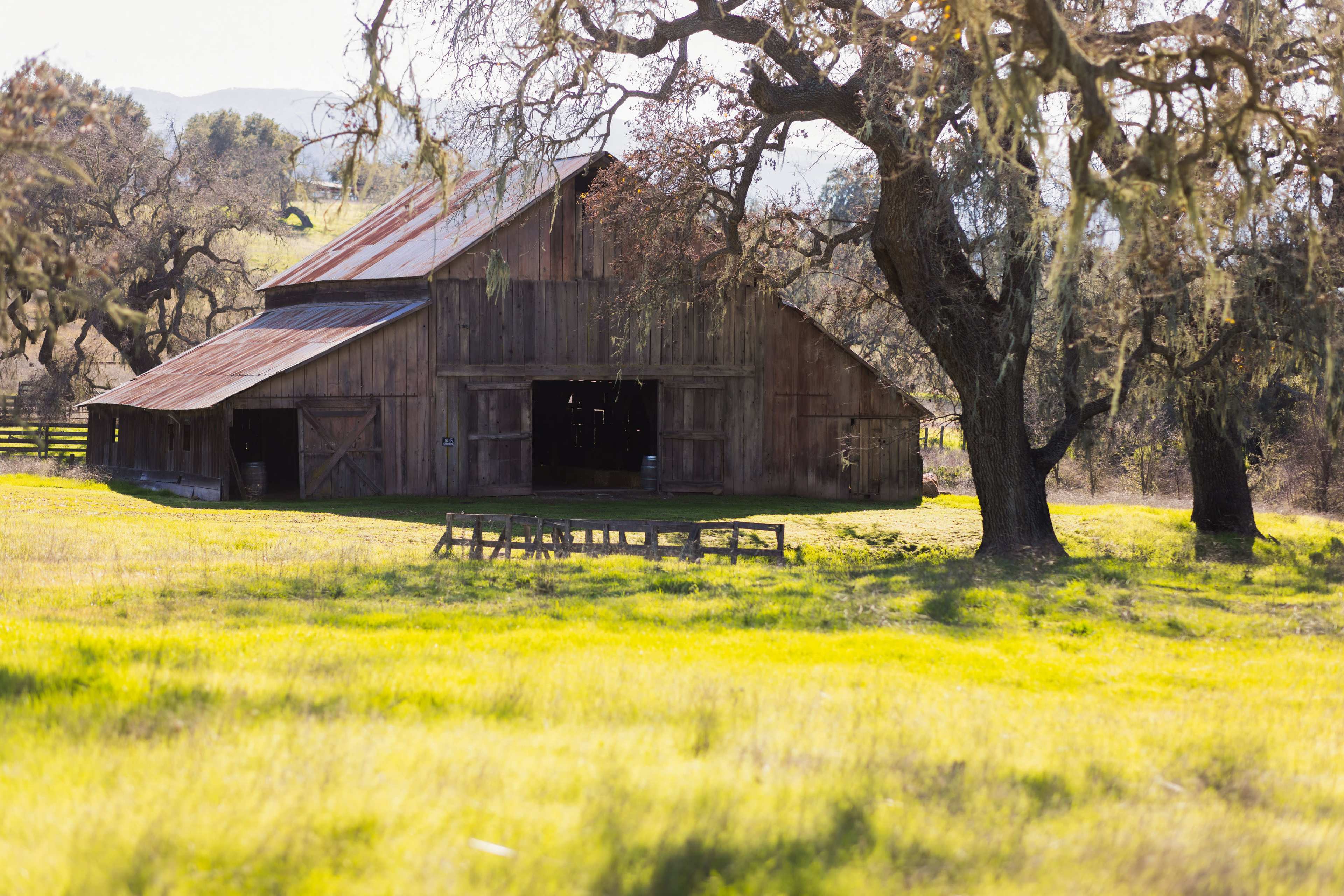 Your Private Vineyard Estate for the Day Image in , Santa Ynez, CA