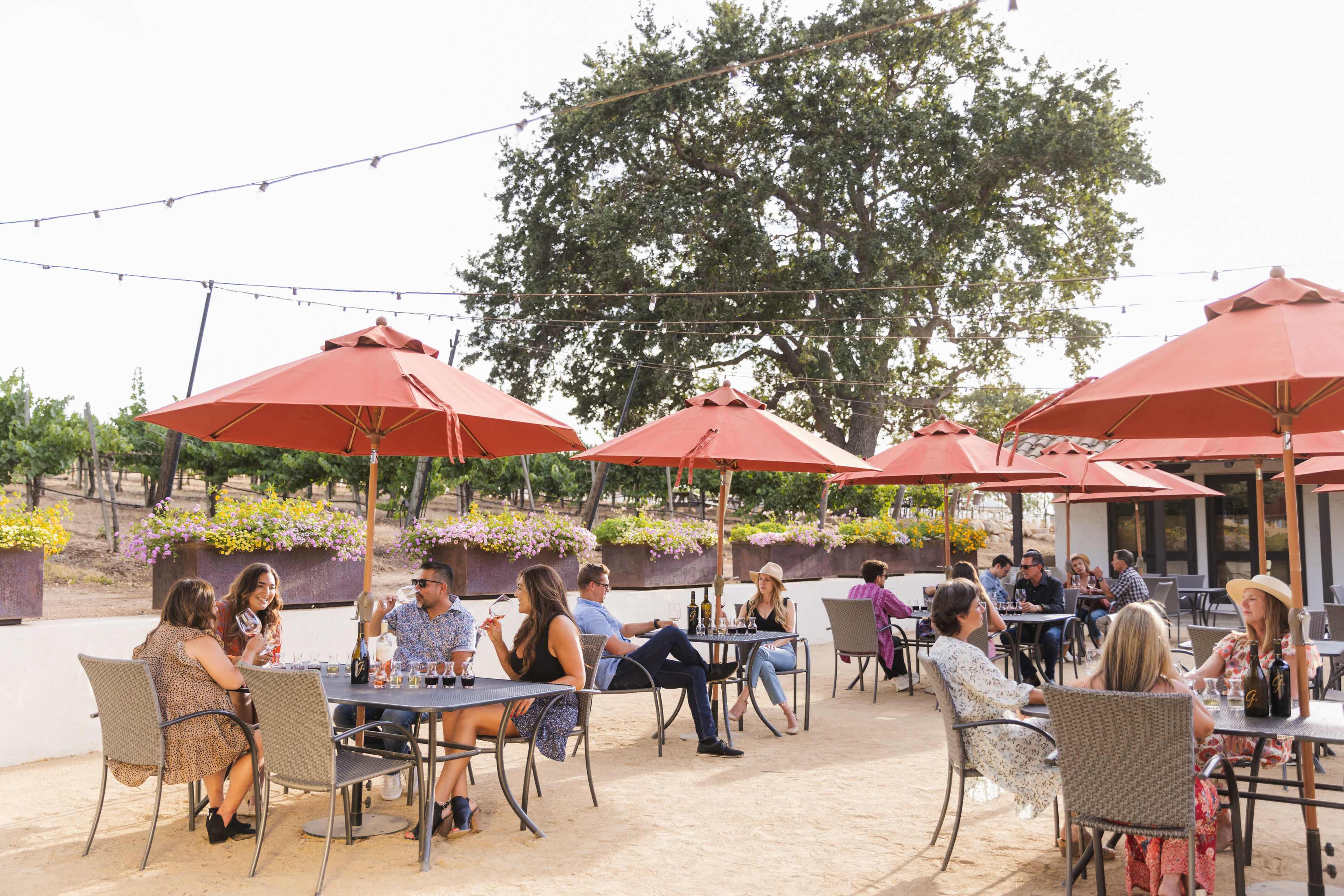 Your Private Vineyard Estate for the Day Image in , Santa Ynez, CA