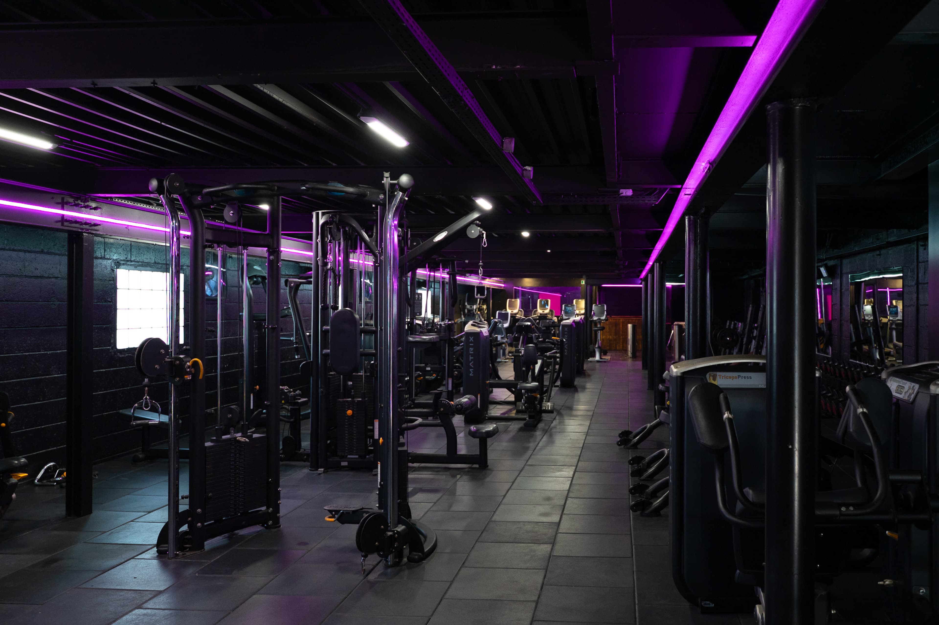 The image shows a dimly lit gym with various exercise machines arranged in rows under purple lighting.