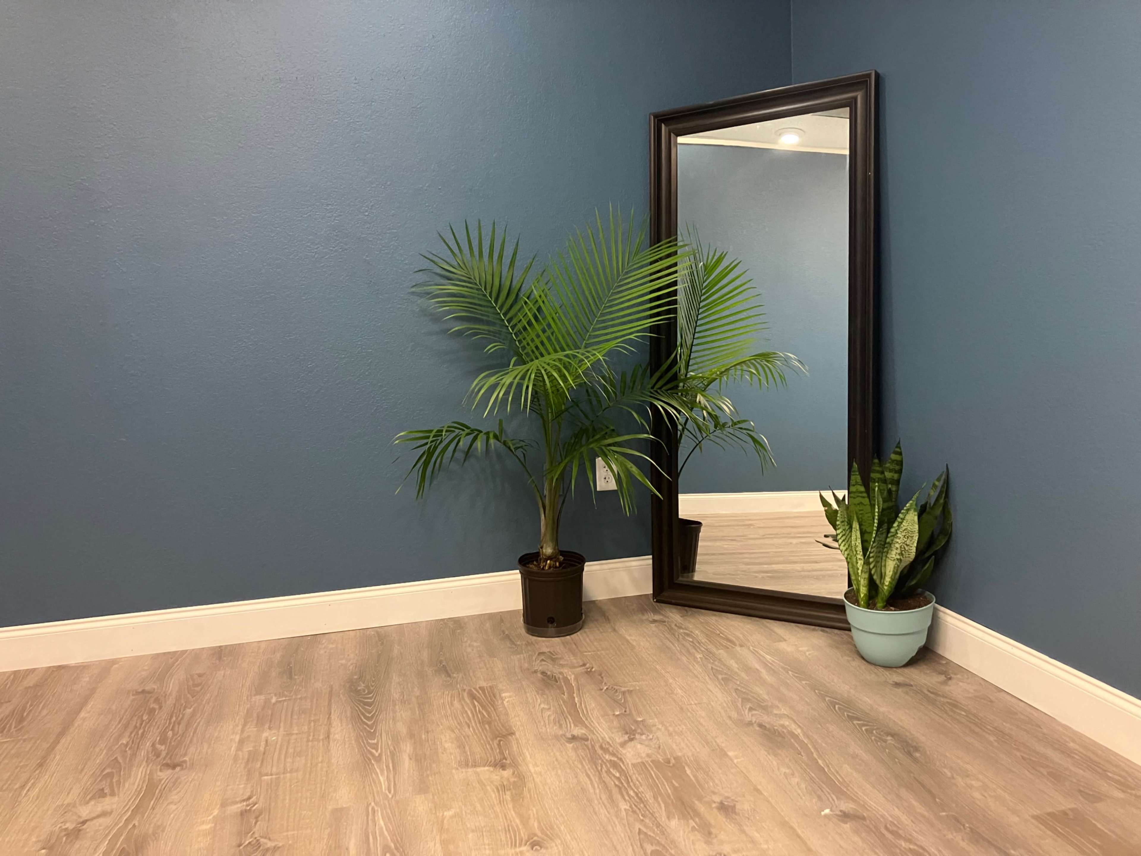 A large mirror is positioned against a blue wall beside a potted palm plant and another green plant in a light blue pot on a wooden floor.