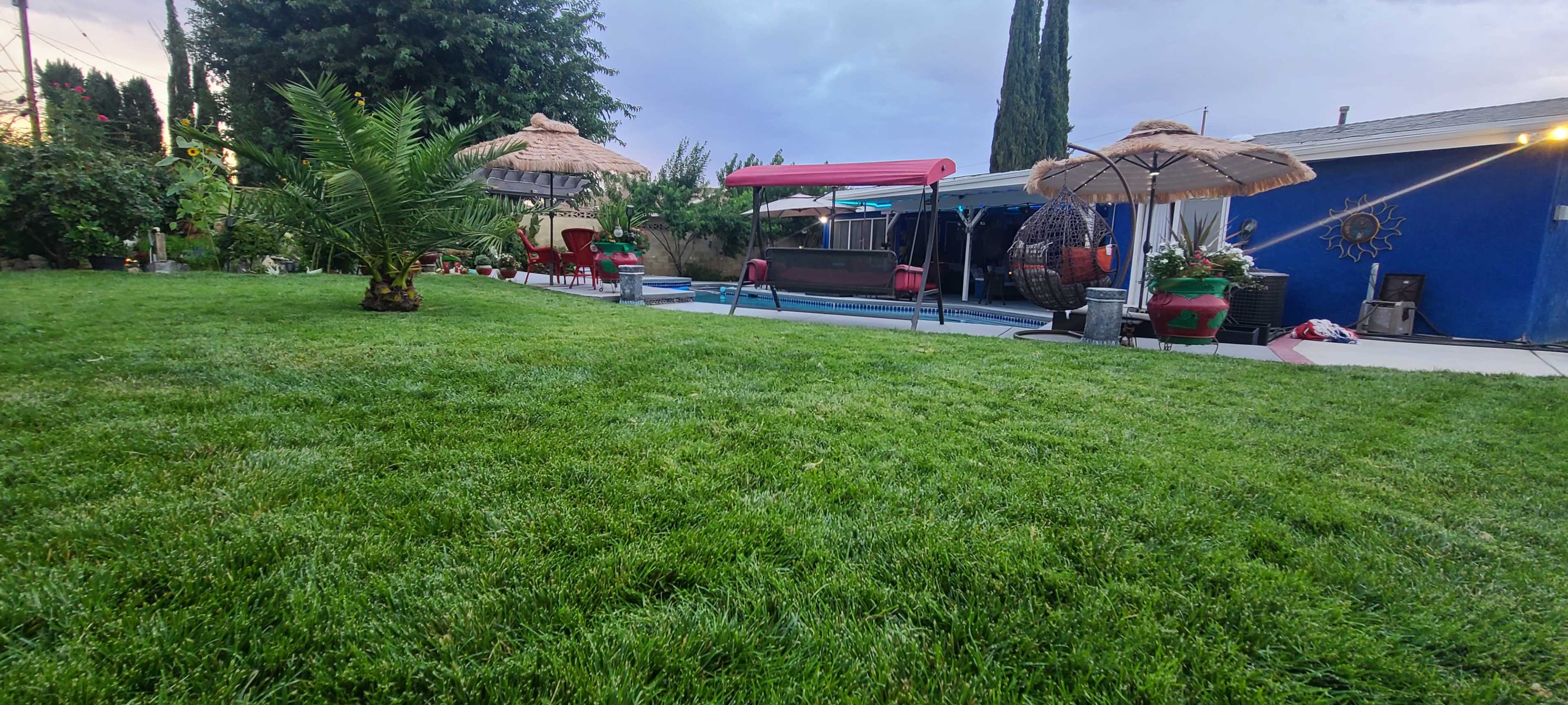 A landscaped backyard with a neatly maintained green lawn, outdoor seating areas under thatched umbrellas, and a swimming pool in the background.