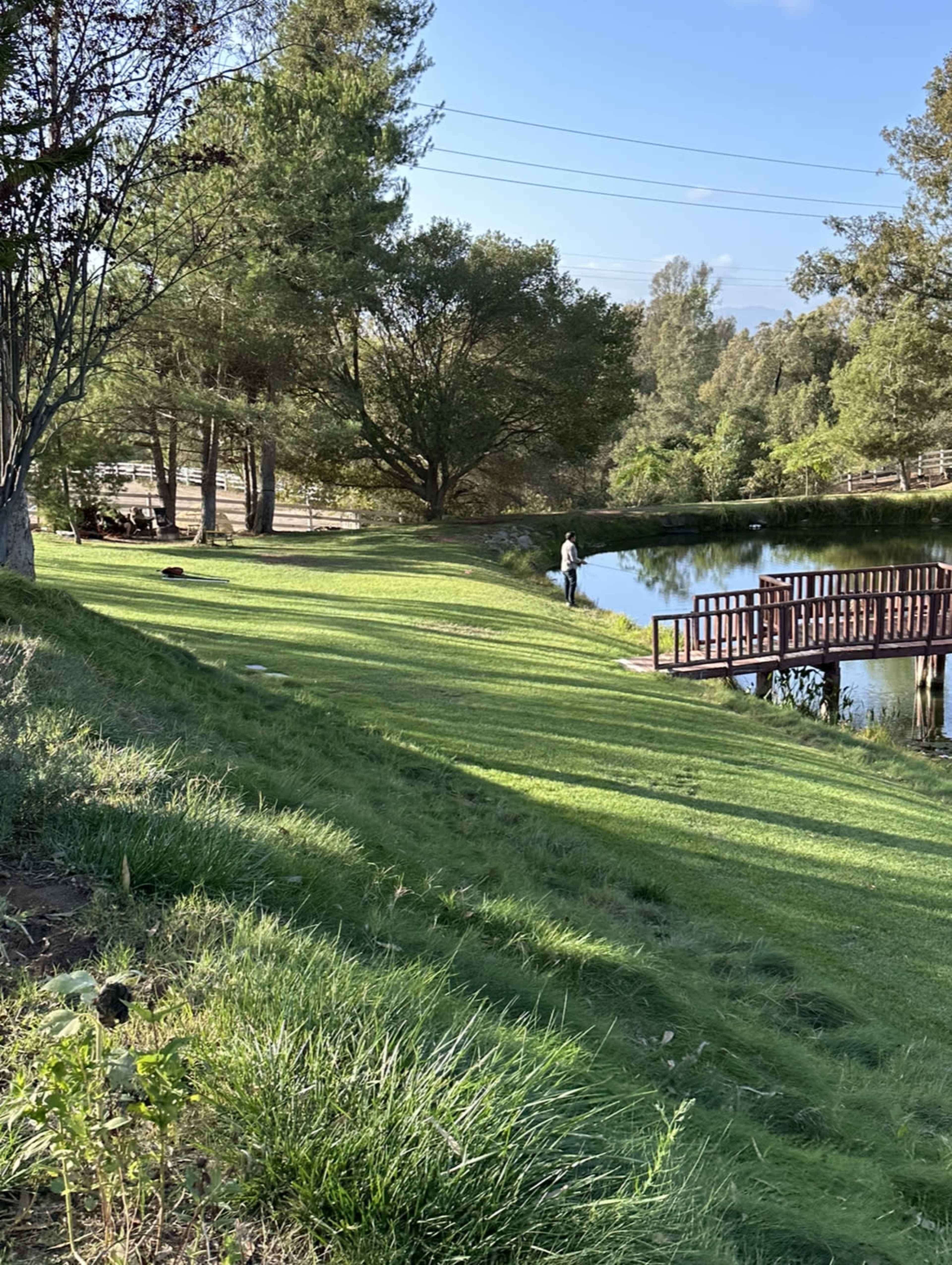 Outdoor oasis with large pond, island and unbeatable golden hour shrouded in trees, hills, mountains, and open spaces Image in , Fallbrook, CA