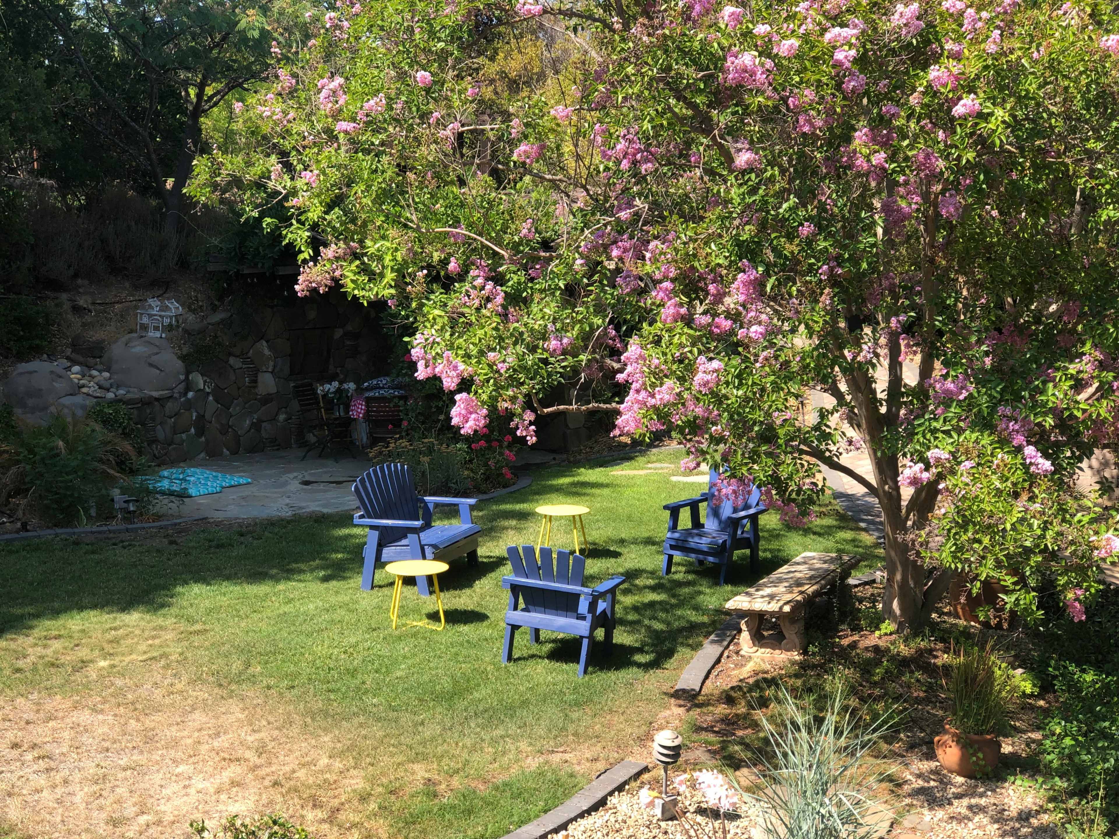 A landscaped yard features colorful chairs underneath a flowering tree, with a stone wall in the background and a variety of plants.