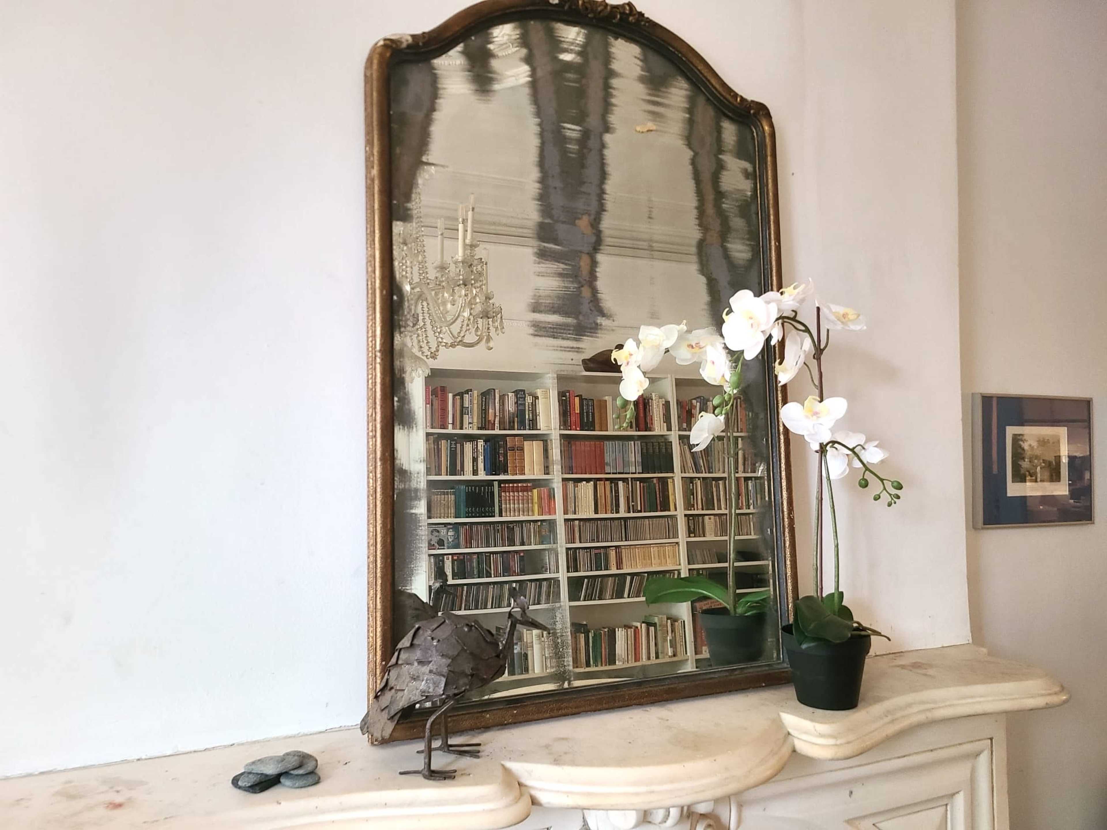 A large, ornate mirror reflects a bookshelf filled with books, alongside a decorative bird sculpture and a potted orchid placed on a mantel.