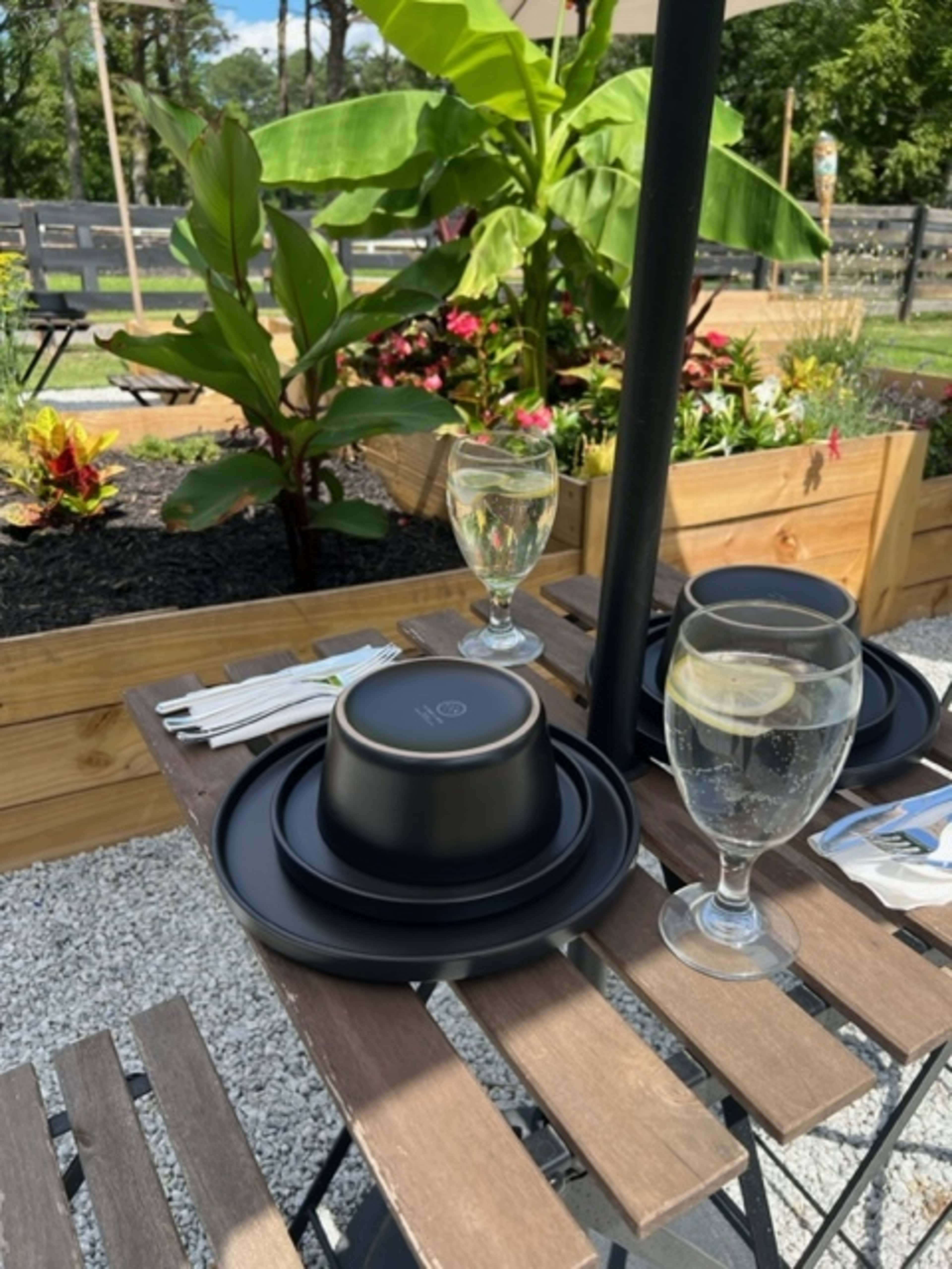 A black plate and bowl are placed on a wooden table, accompanied by two glasses of water with lemon, surrounded by lush greenery and colorful flowers.