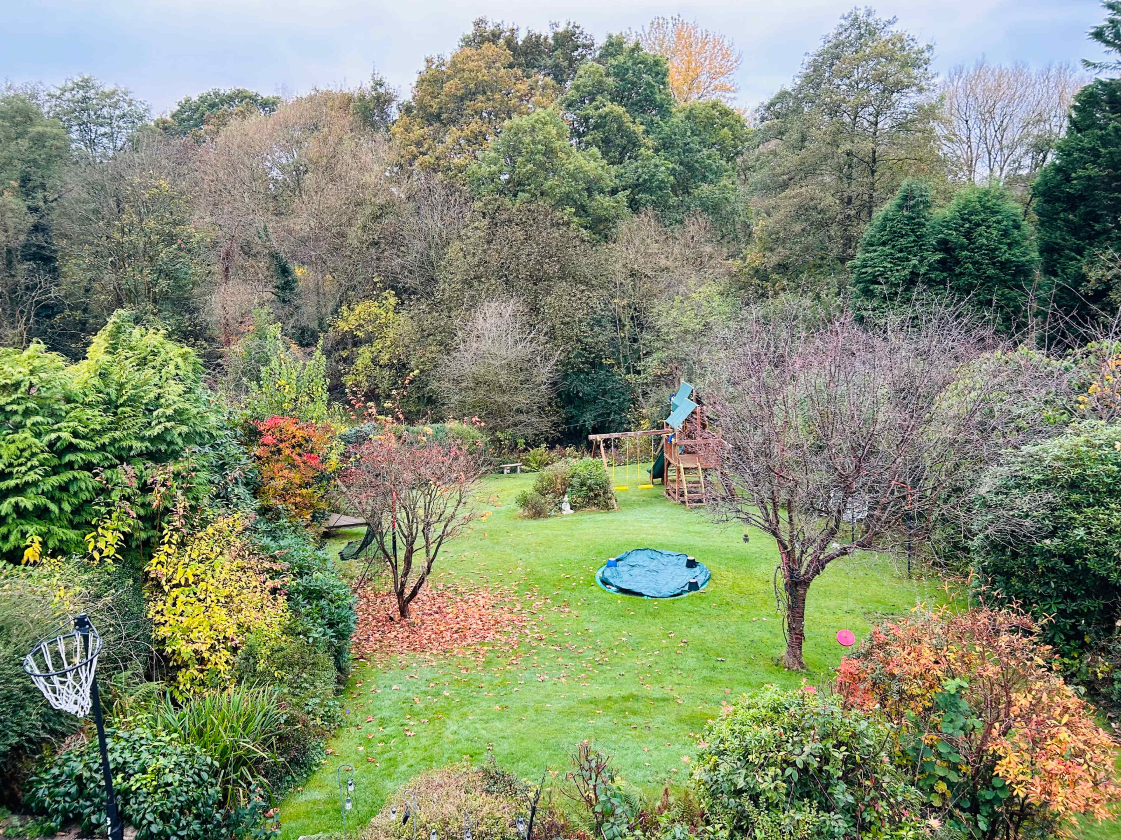 The image shows a landscaped garden with trees, a wooden play structure, and a circular blue tarp on grassy ground, surrounded by various shrubs and plants.