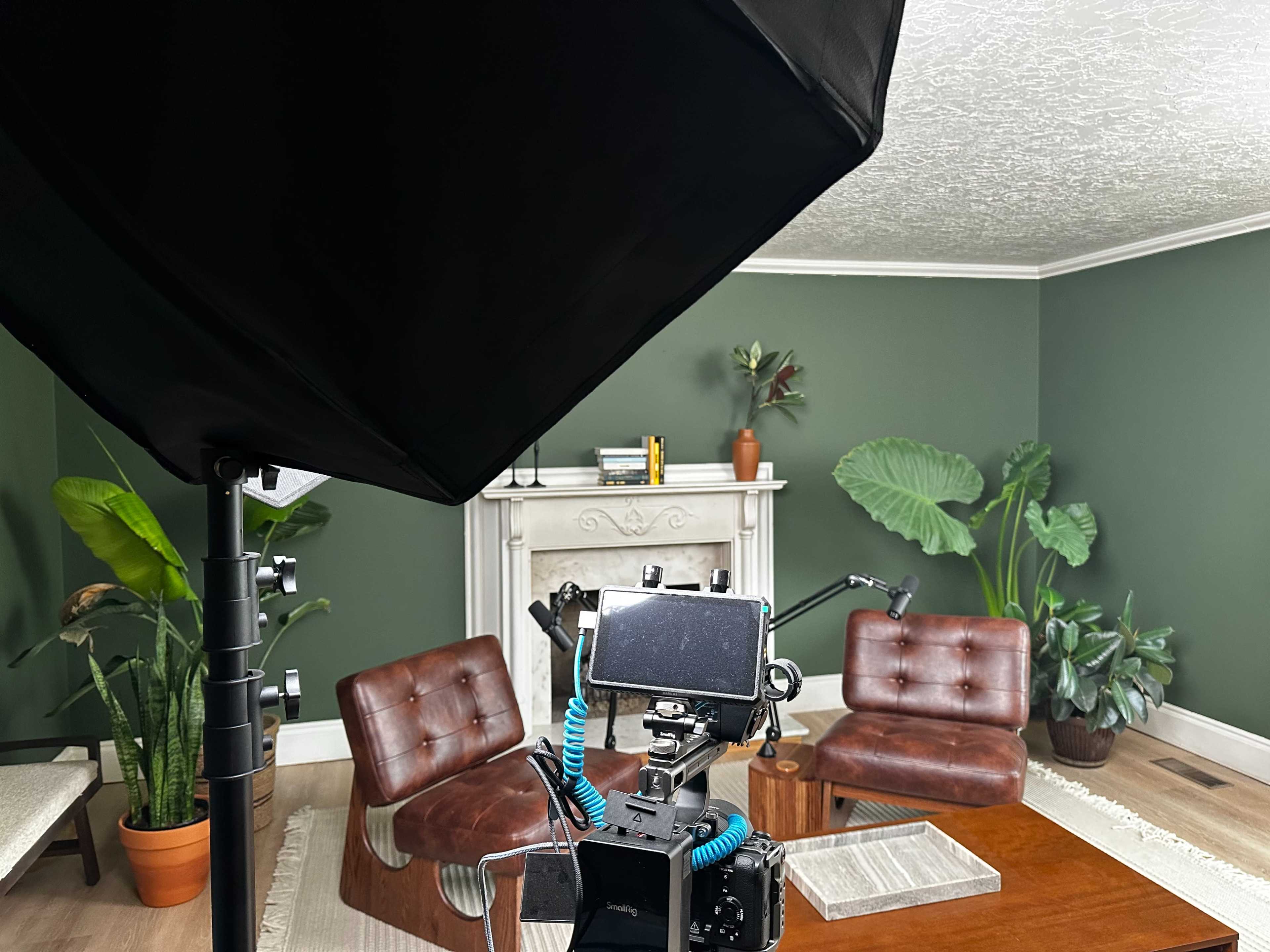 The image shows a well-lit room with two brown leather chairs, a fireplace mantel, and potted plants against a green wall.