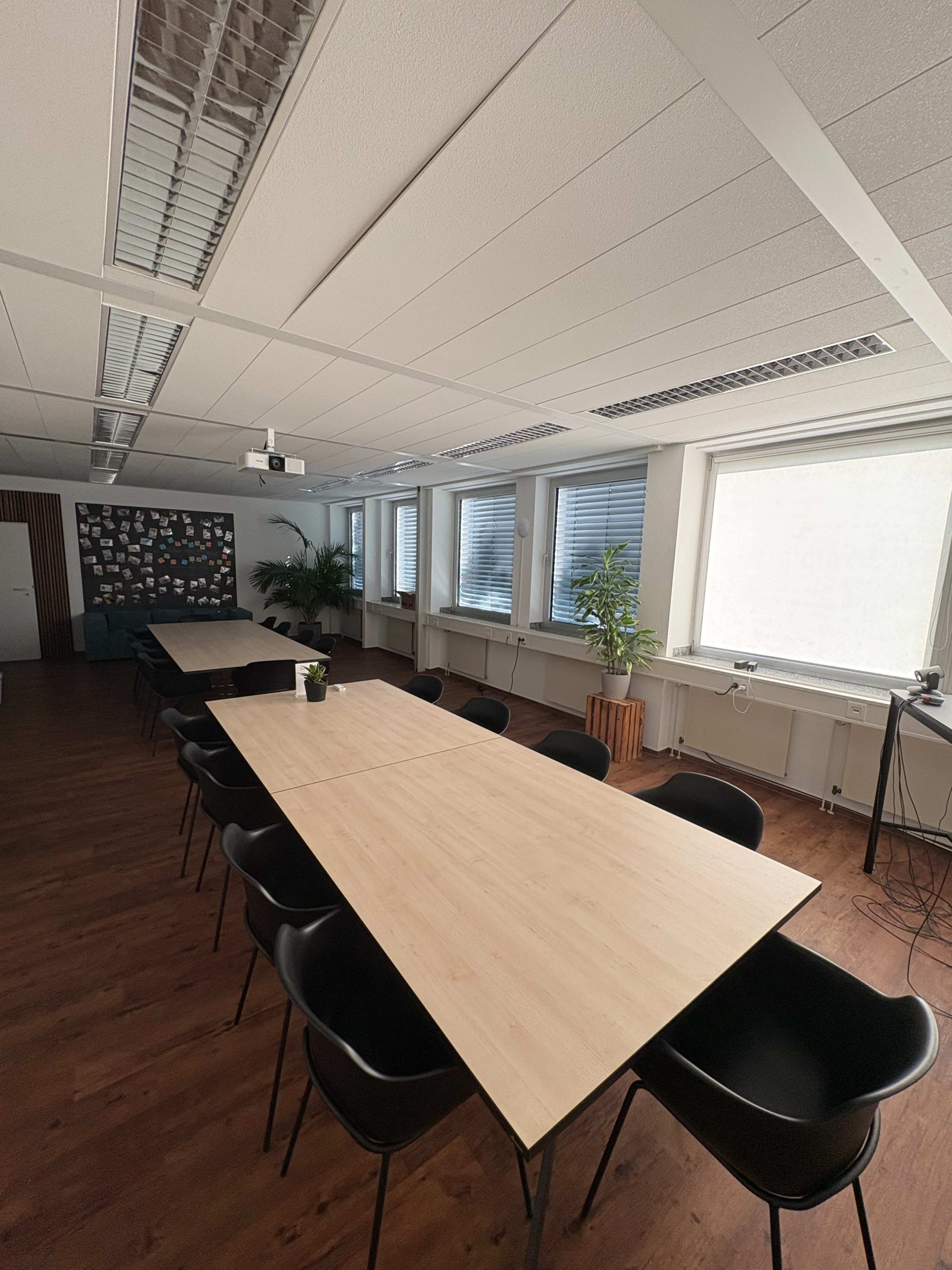 The image shows a spacious meeting room with a long wooden table, black chairs, and large windows allowing natural light, along with a plant in one corner.