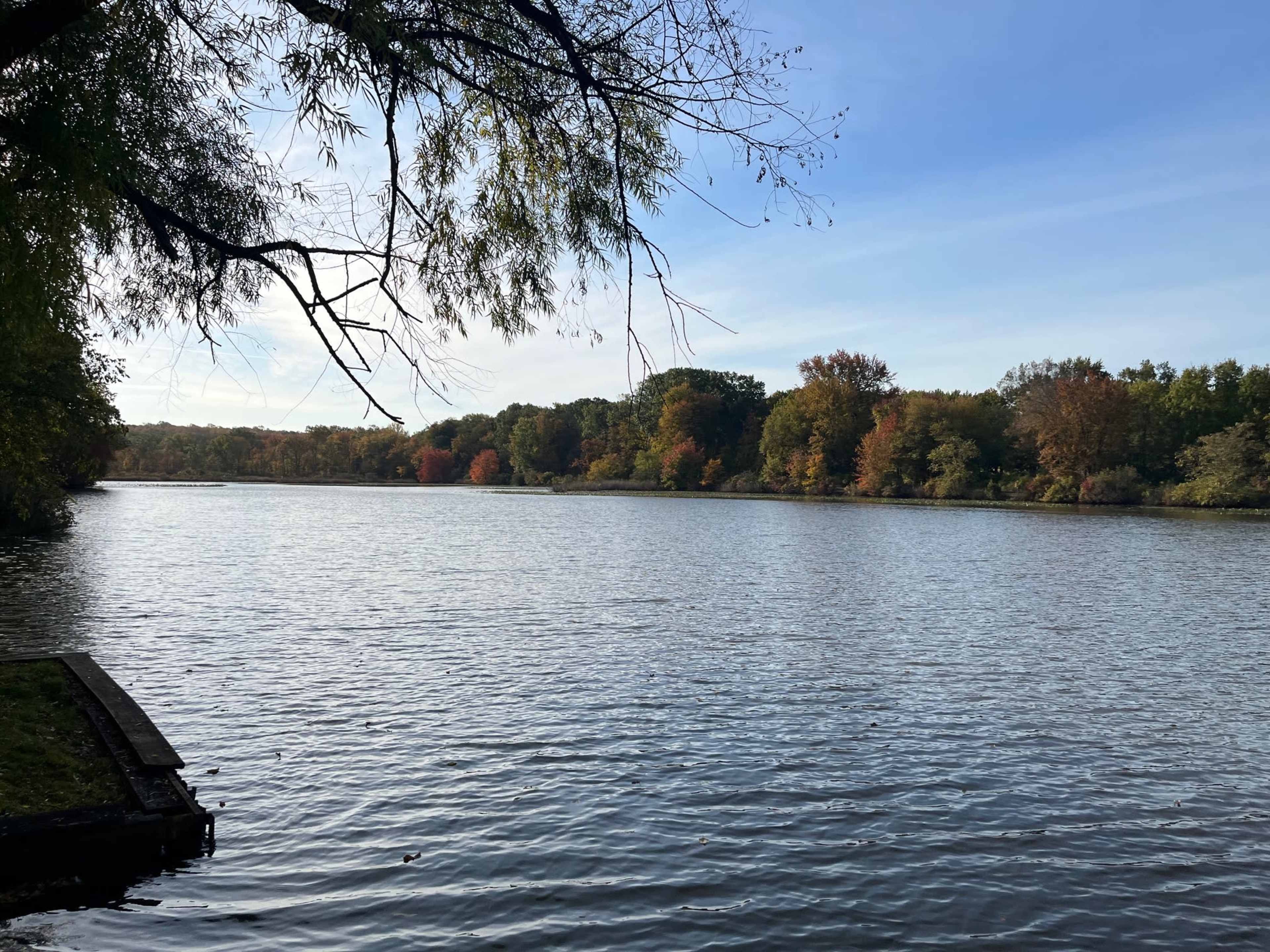 Lakefront Moments - Outdoor Space Image in Jamesburg, Jamesburg, NJ