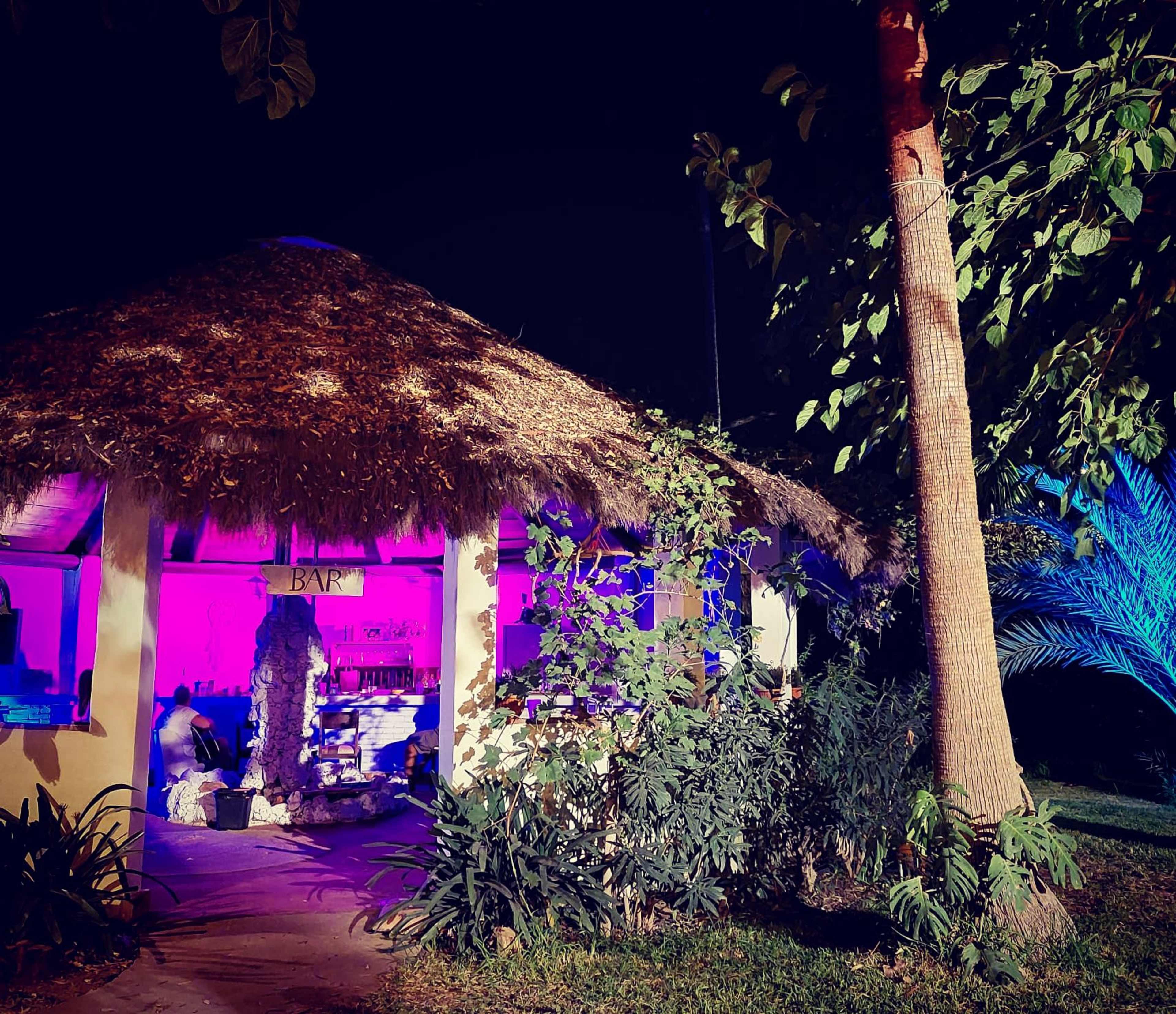 A thatched-roof bar surrounded by tropical plants is illuminated by colorful lights at night.