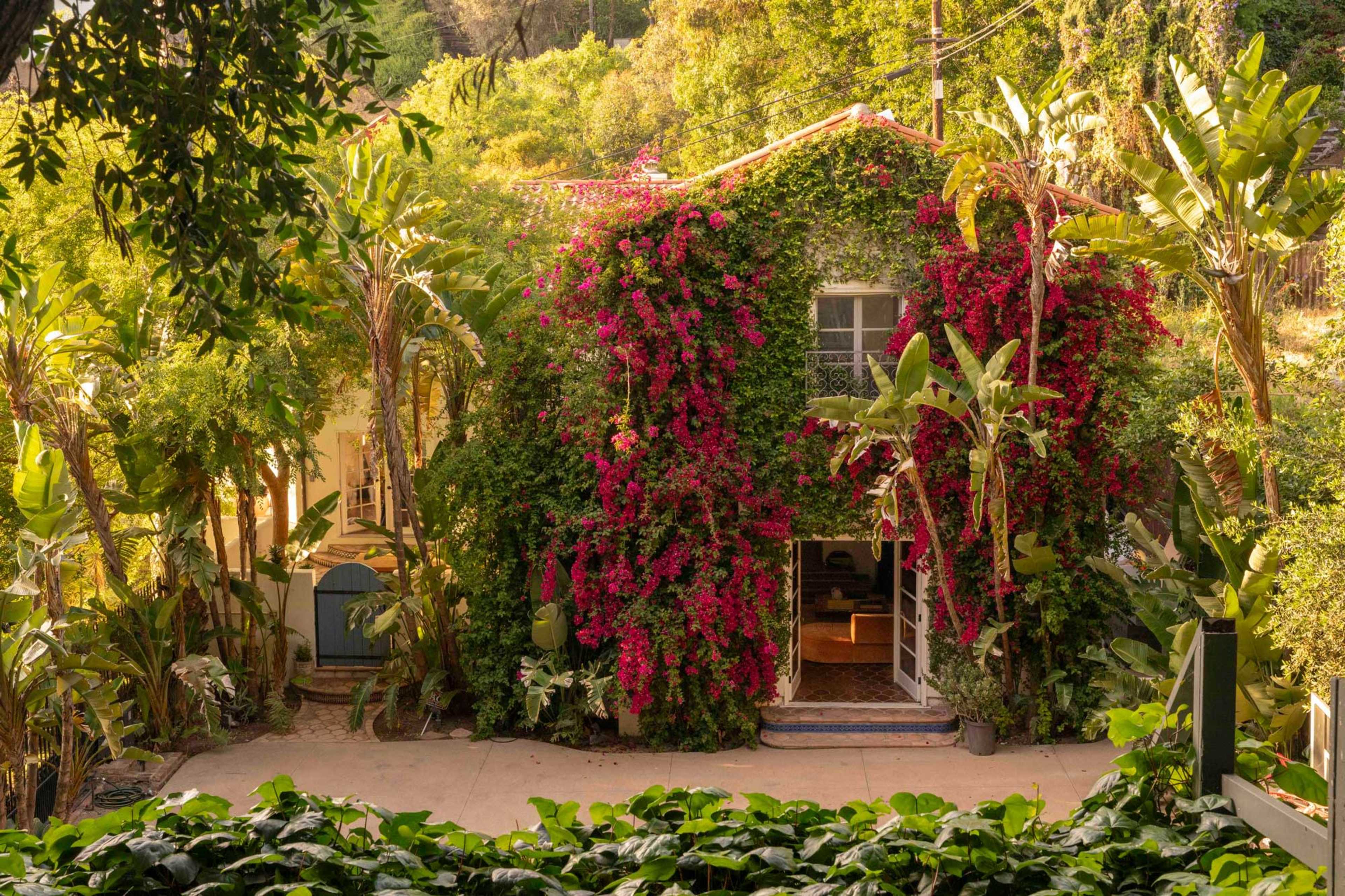 A house covered in vibrant bougainvillea and surrounded by tropical plants is situated on a concrete driveway.