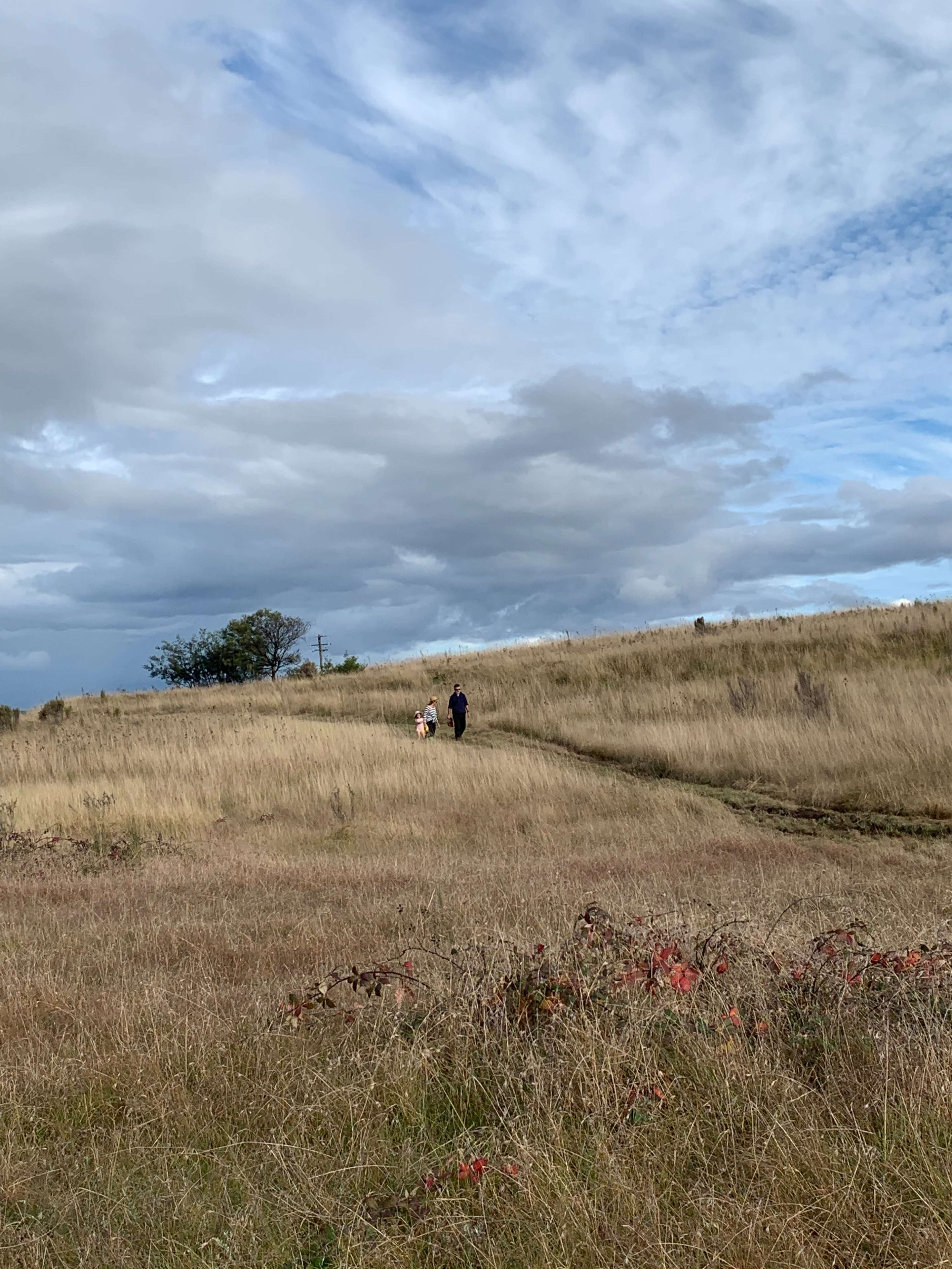 A person and a child walk along a dirt path through a grassy field under a cloudy sky.
