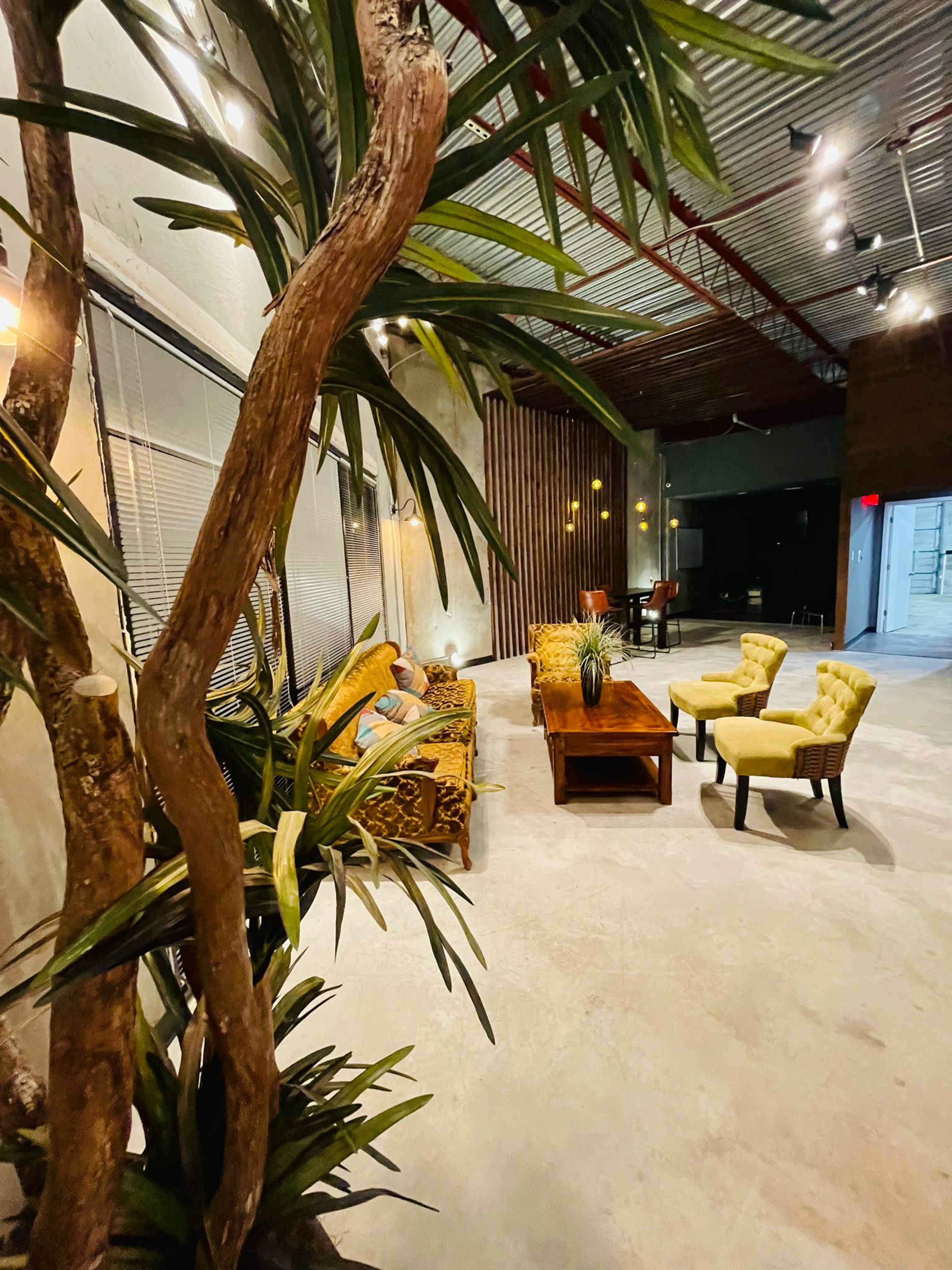 A spacious indoor area with a couch, two yellow chairs, a coffee table, and a large plant near the seating.