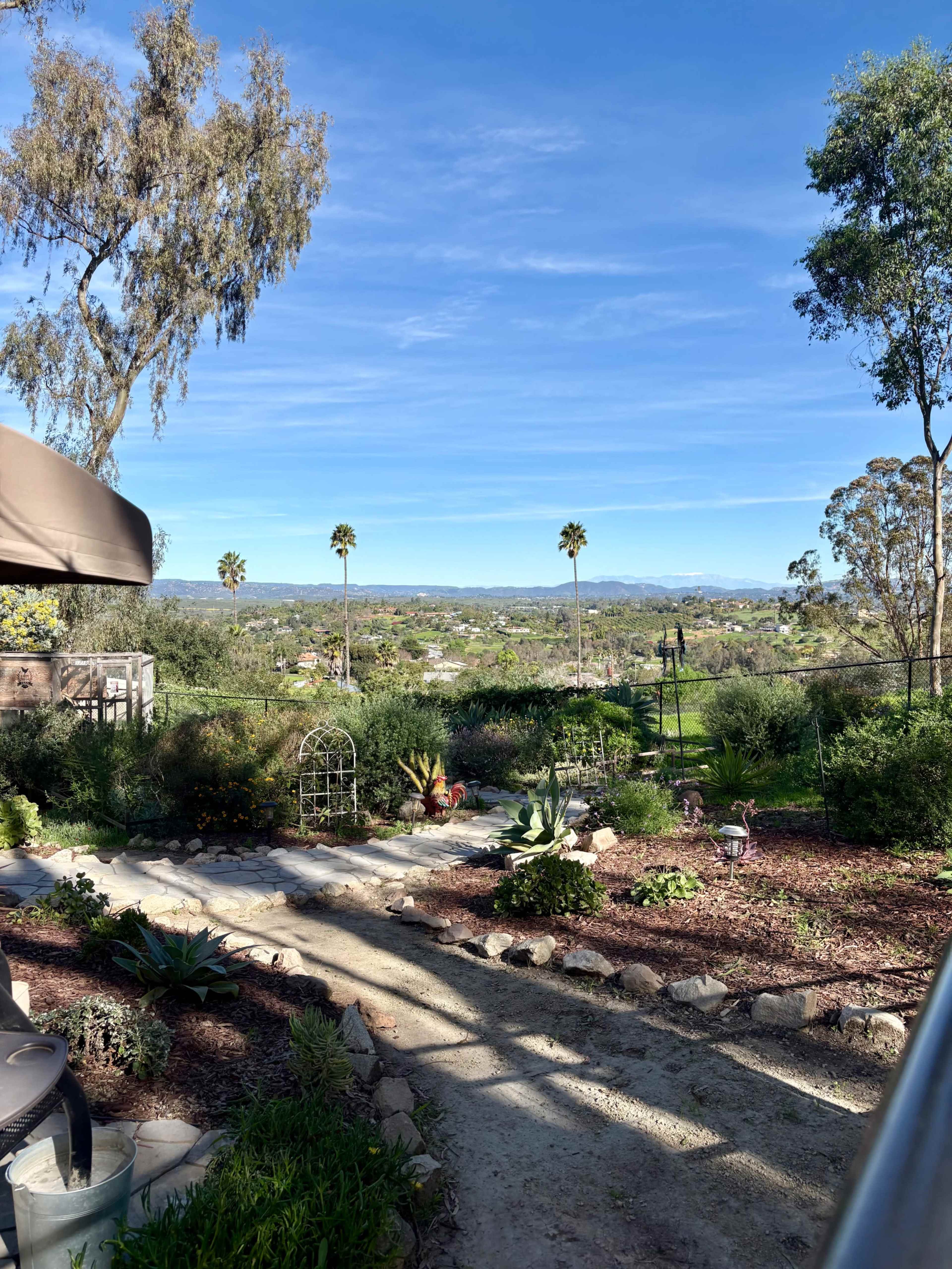 The scene depicts a landscaped garden featuring a dirt path, various plants, and palm trees in the distance under a clear blue sky.