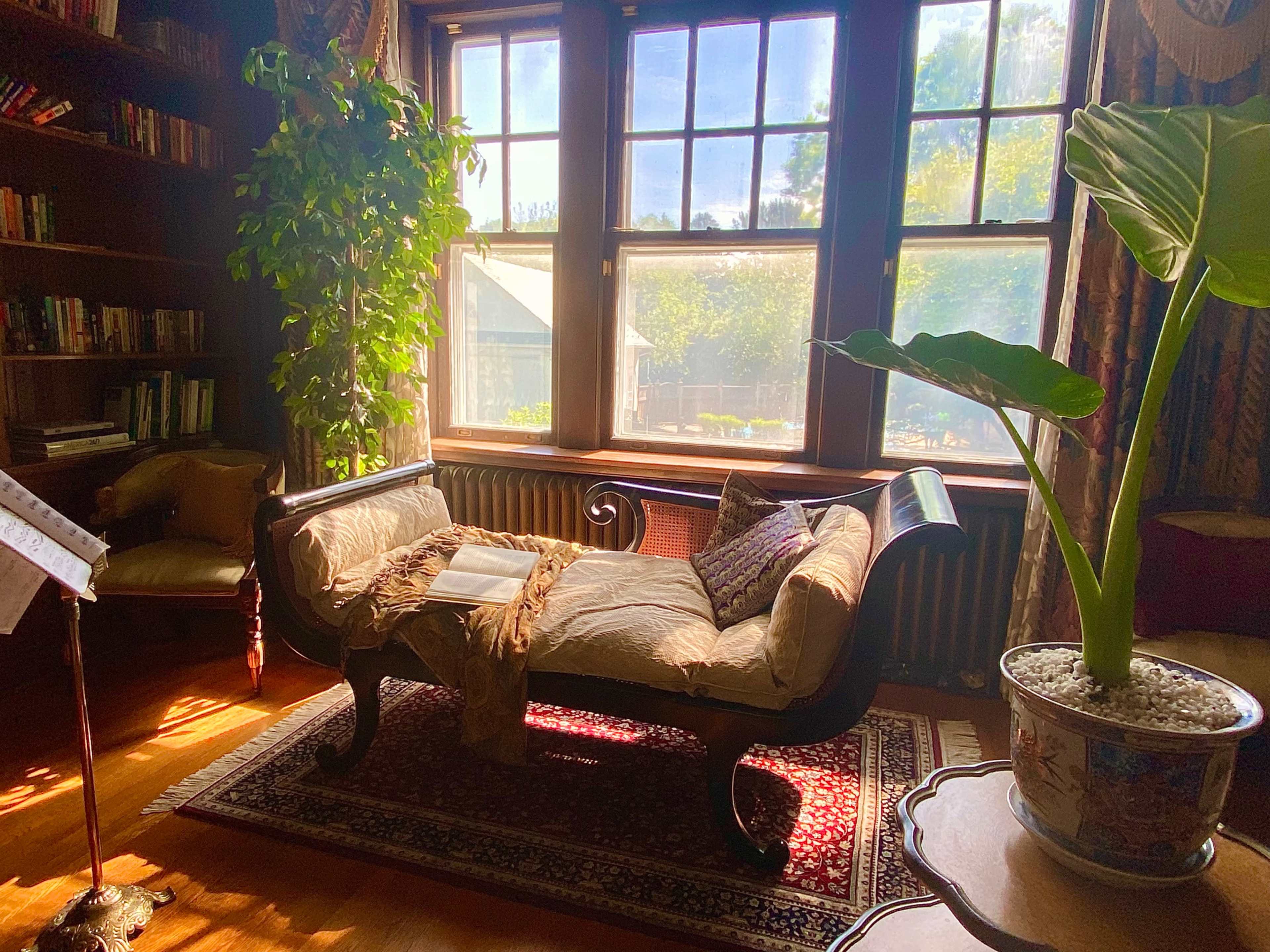 A sunlit reading nook features a chaise lounge beside a large window, with a bookshelf in the background and a potted plant nearby.