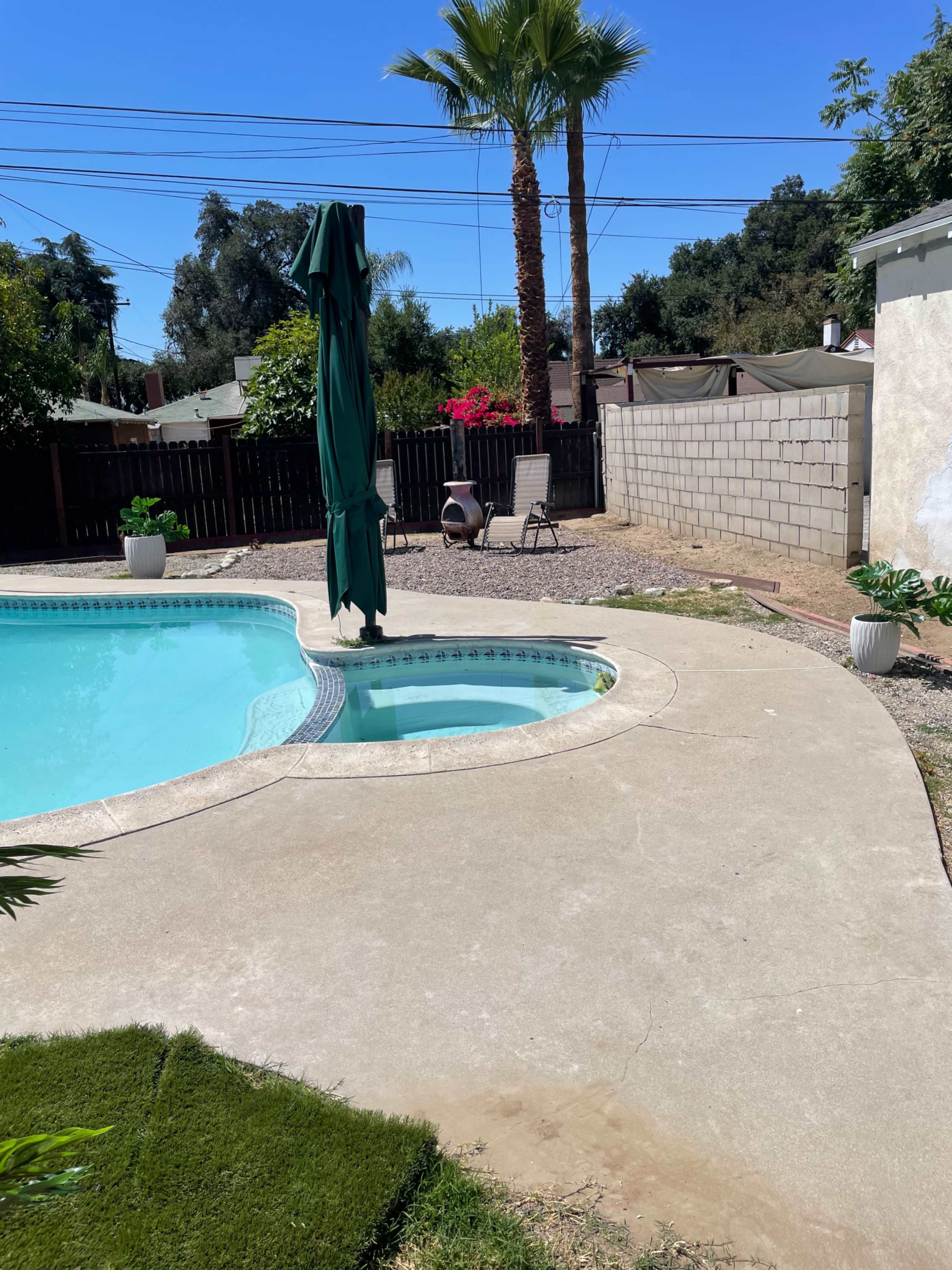 A backyard pool area features a blue swimming pool surrounded by concrete, a tall green umbrella, and a chair next to a partially fenced garden with palm trees and shrubs.