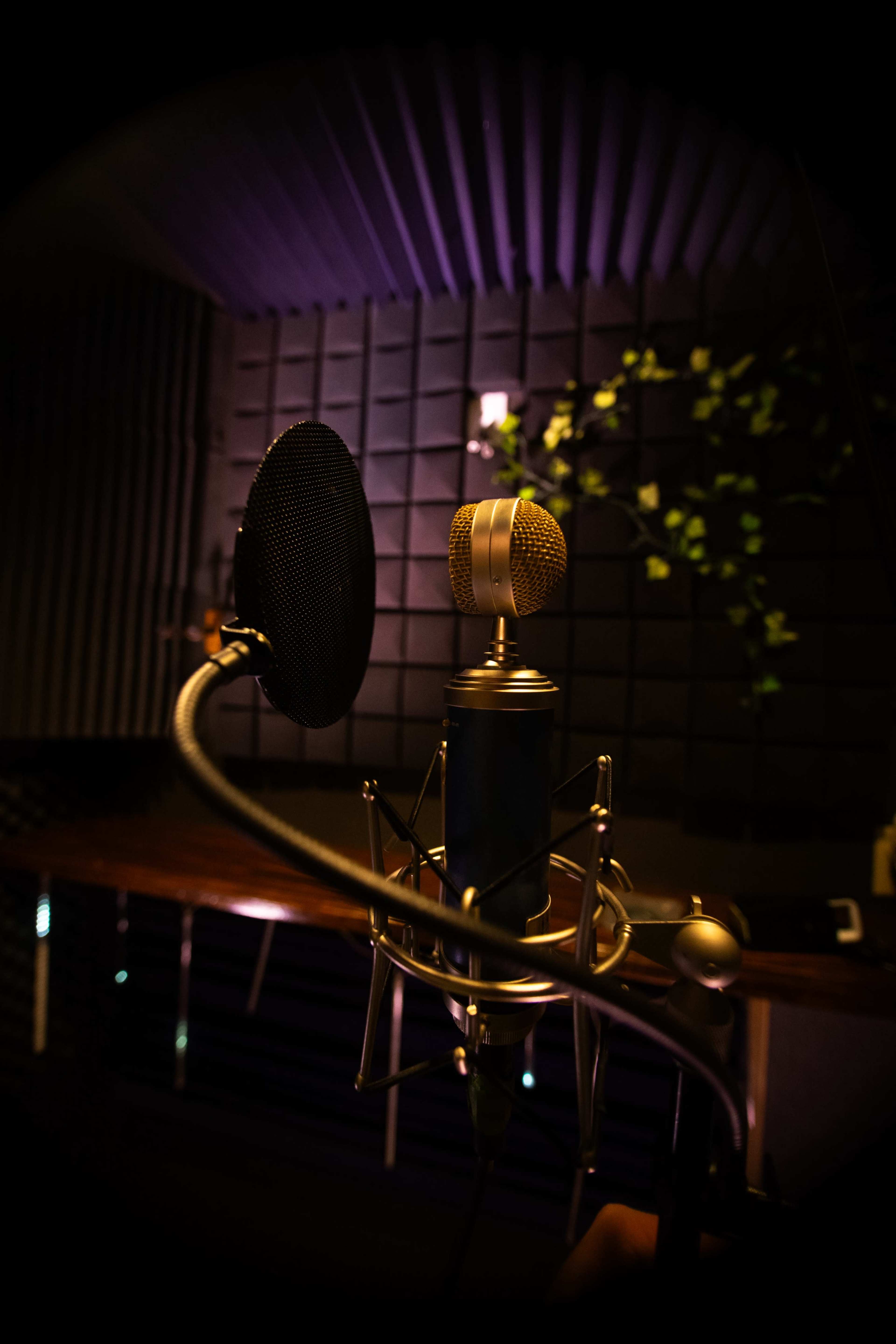 Music / Podcast / Voiceover Recording Studio with In-House Engineer Image in Potrero Hill, San Francisco, CA