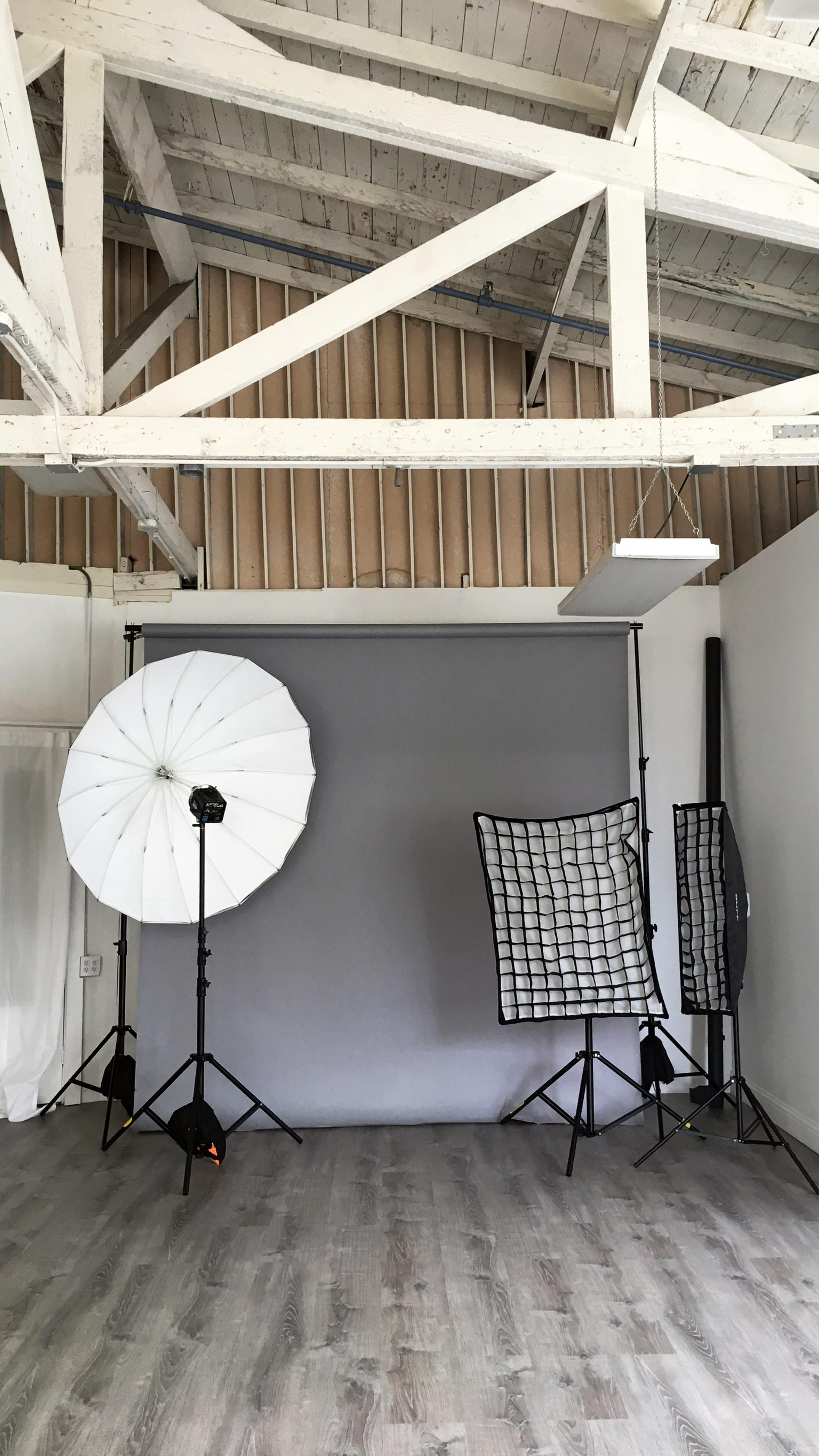 A photography studio with softbox lighting, a gray backdrop, and various light modifiers set up on a wooden floor.