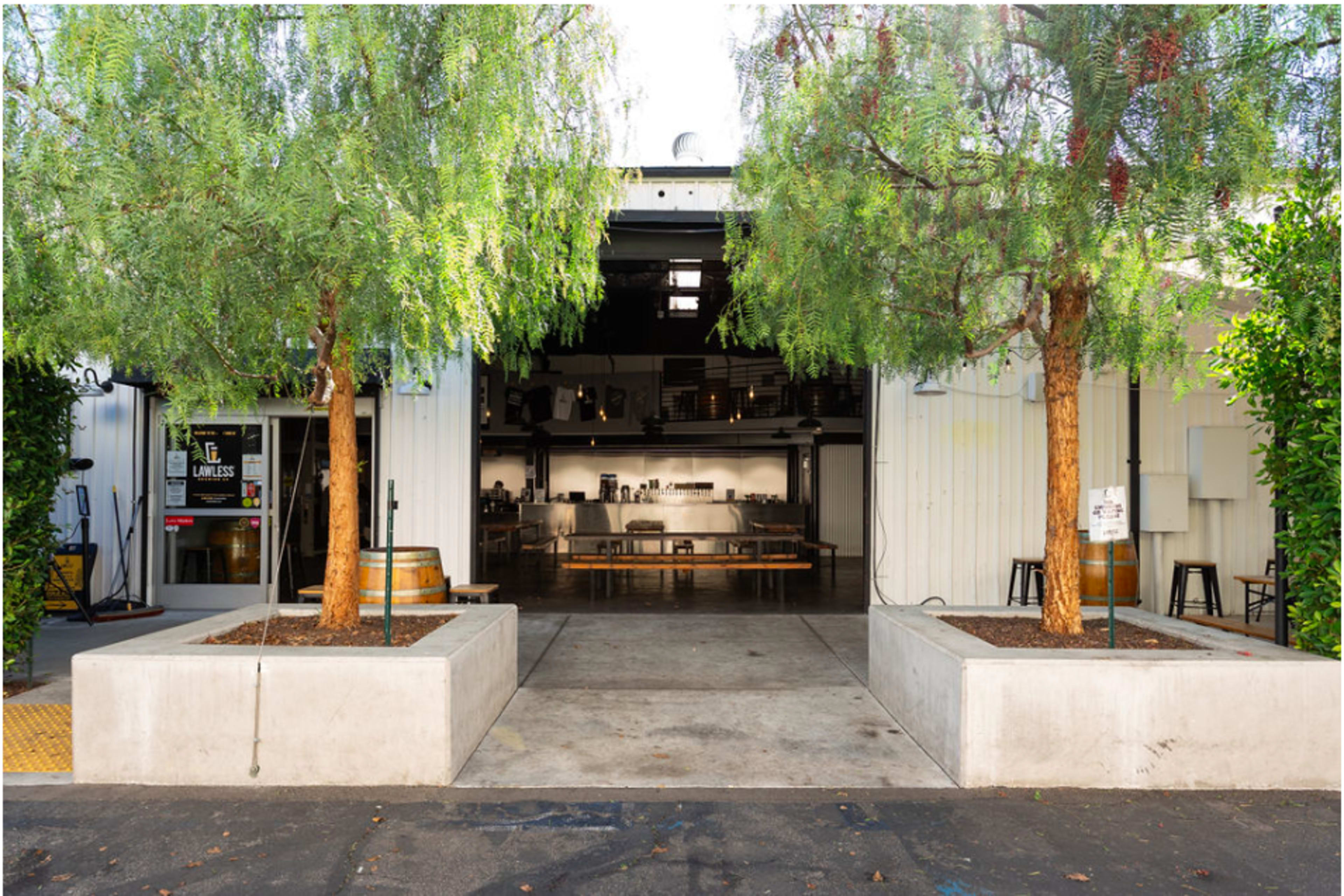 The image shows the entrance of a modern industrial-style building featuring two trees on either side of a concrete pathway, leading into a spacious interior with a kitchen and dining area visible.