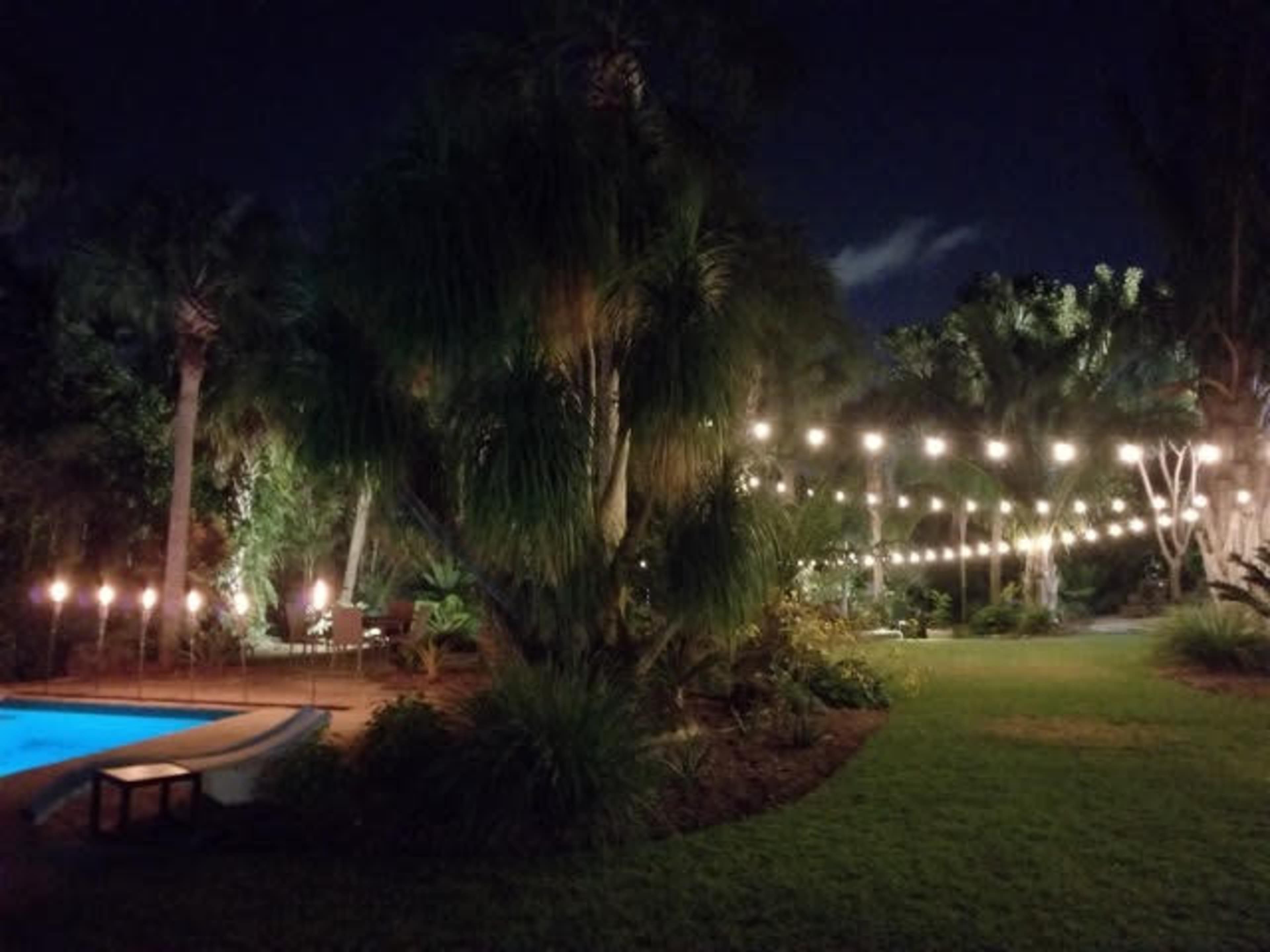 A well-lit garden at night features a swimming pool, string lights overhead, and tropical plants surrounding a grassy area.