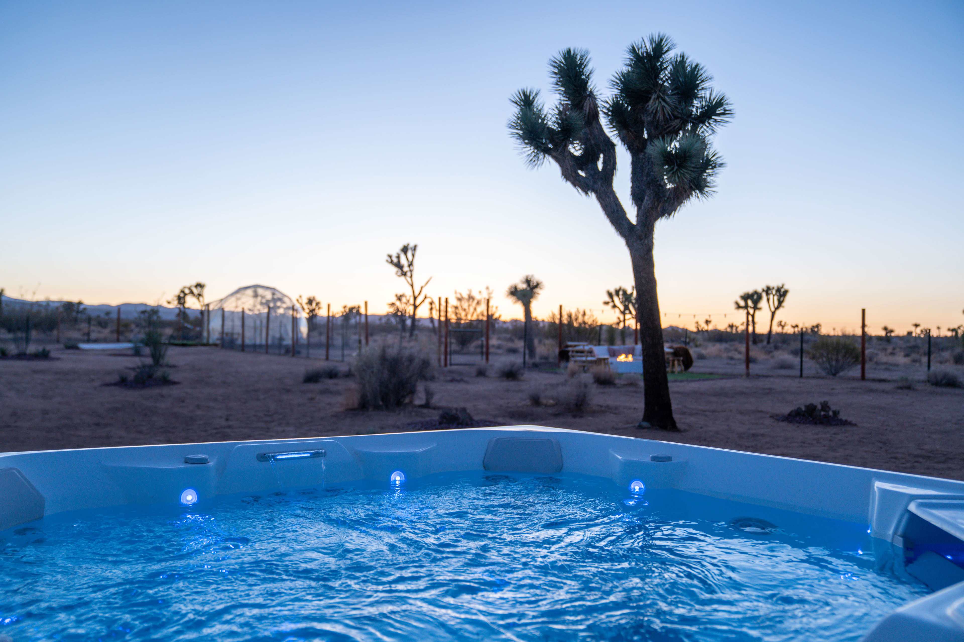 A hot tub filled with water glows blue in the foreground, with a Joshua tree and a dusk sky in the background.